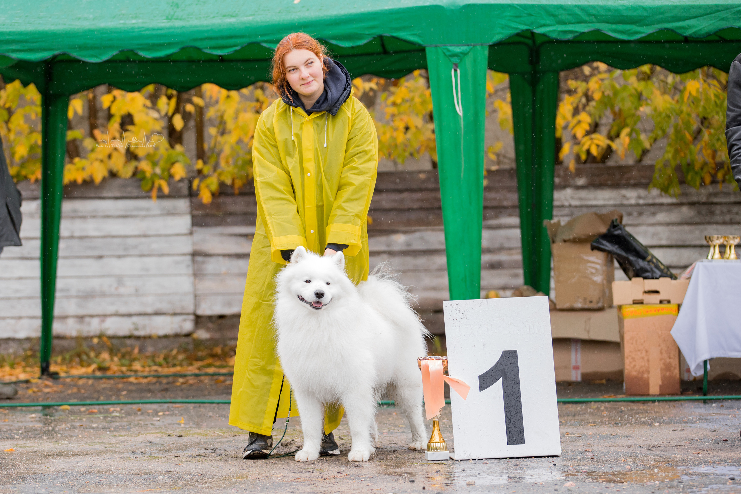 Александров 24.09.2022. Фотограф-анималист Юлия Германика