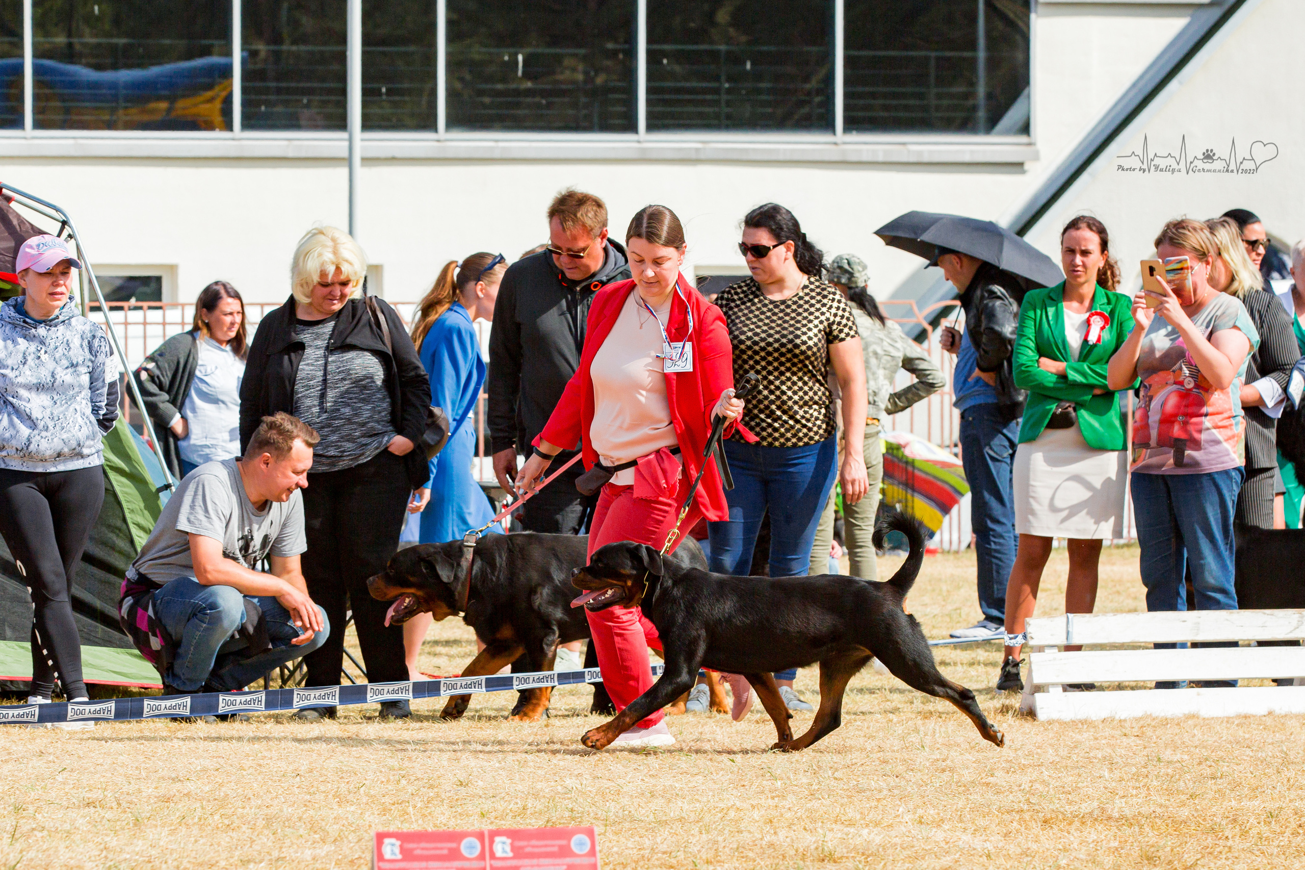 Минск 2хCACIB 3-4.09.2022. Фотограф-анималист Юлия Германика