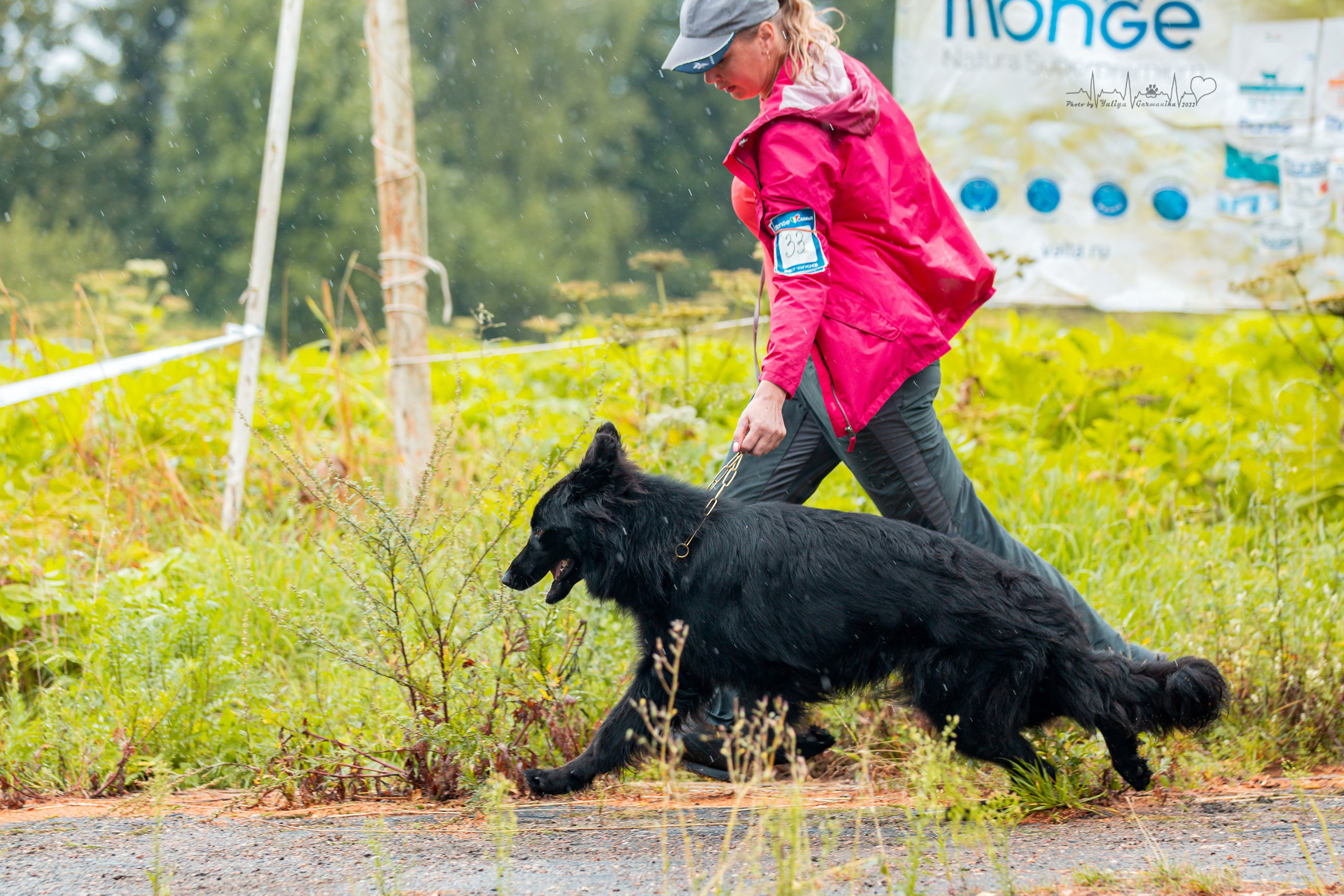 Ховрино 31.07,Чайна-Таун 6.08,Тверь 7.08. Фотограф-анималист Юлия Германика