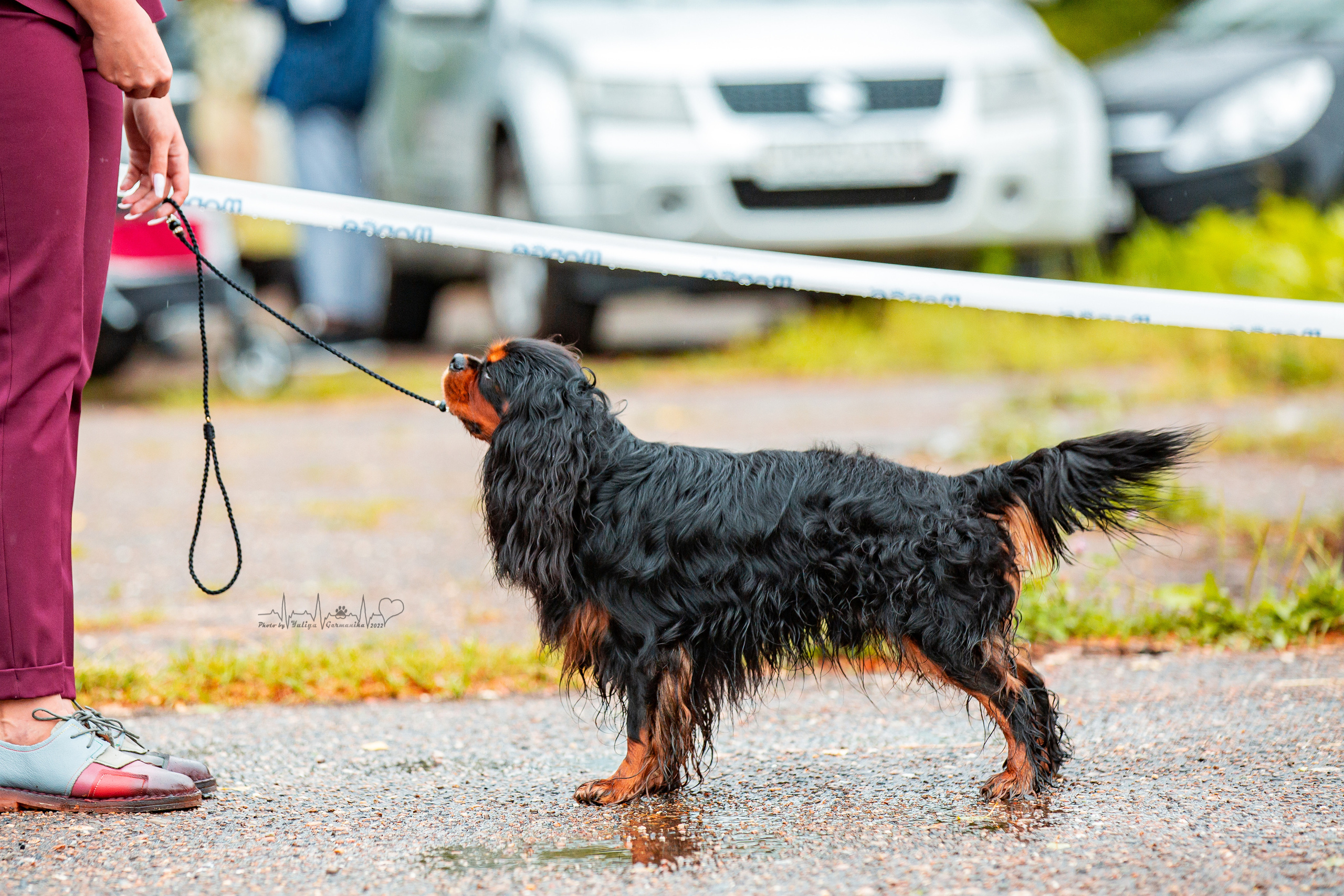 Ховрино 31.07,Чайна-Таун 6.08,Тверь 7.08. Фотограф-анималист Юлия Германика