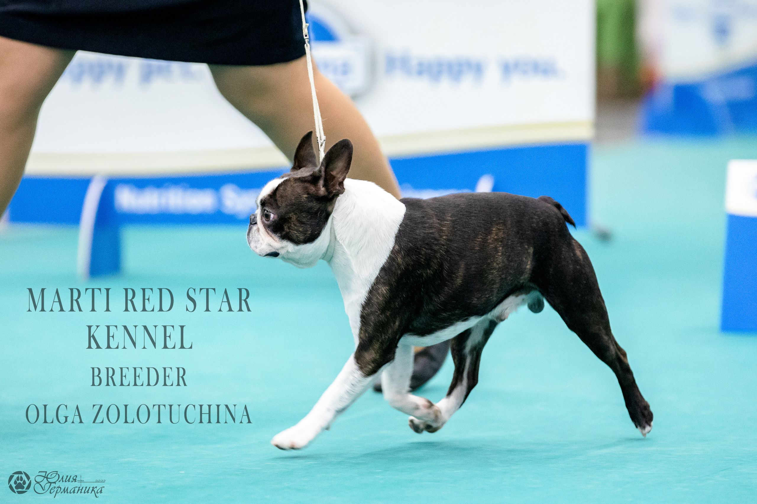 Нижний Новгород 15-16.10.2022. Фотограф-анималист Юлия Германика