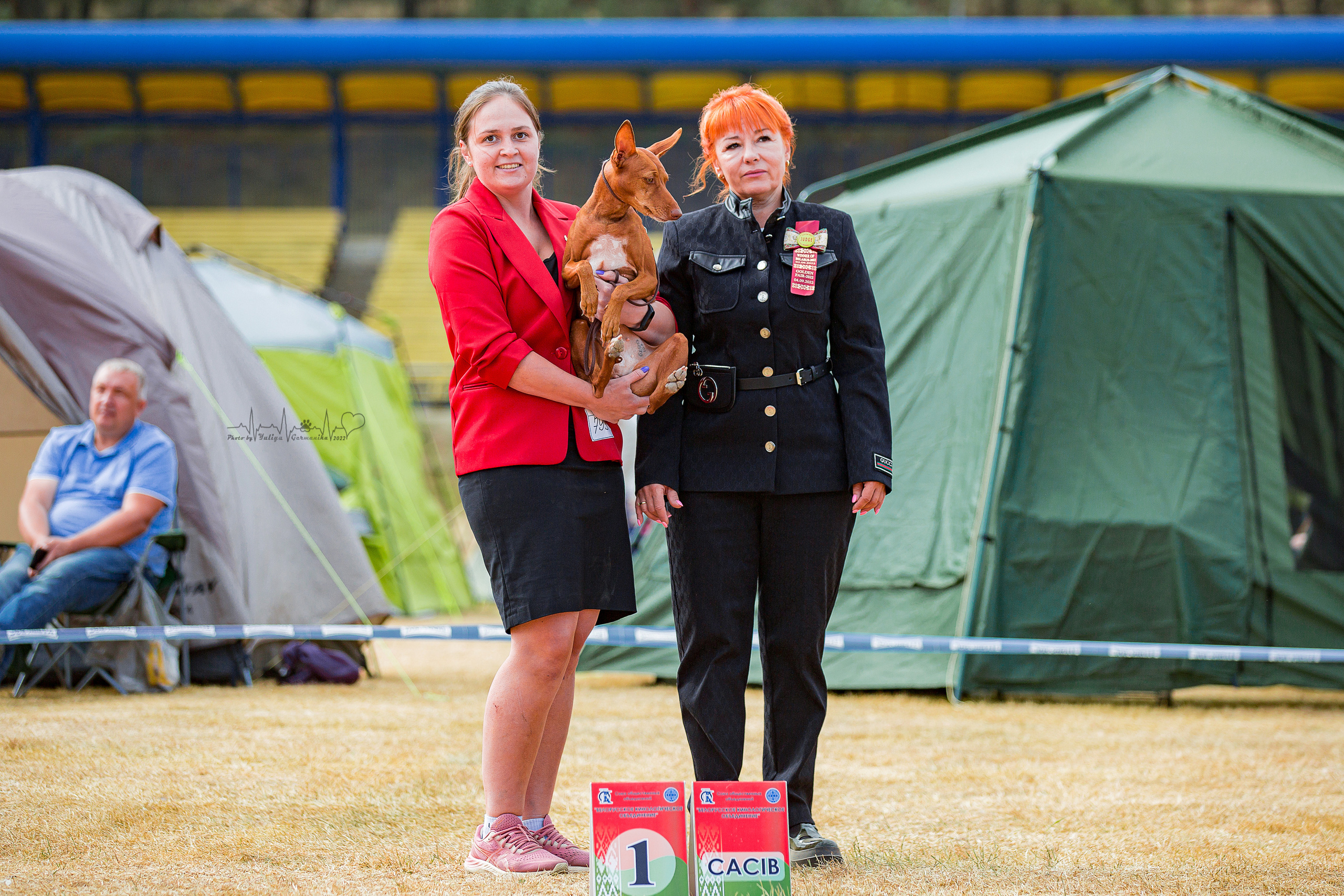 Минск 2хCACIB 3-4.09.2022. Фотограф-анималист Юлия Германика