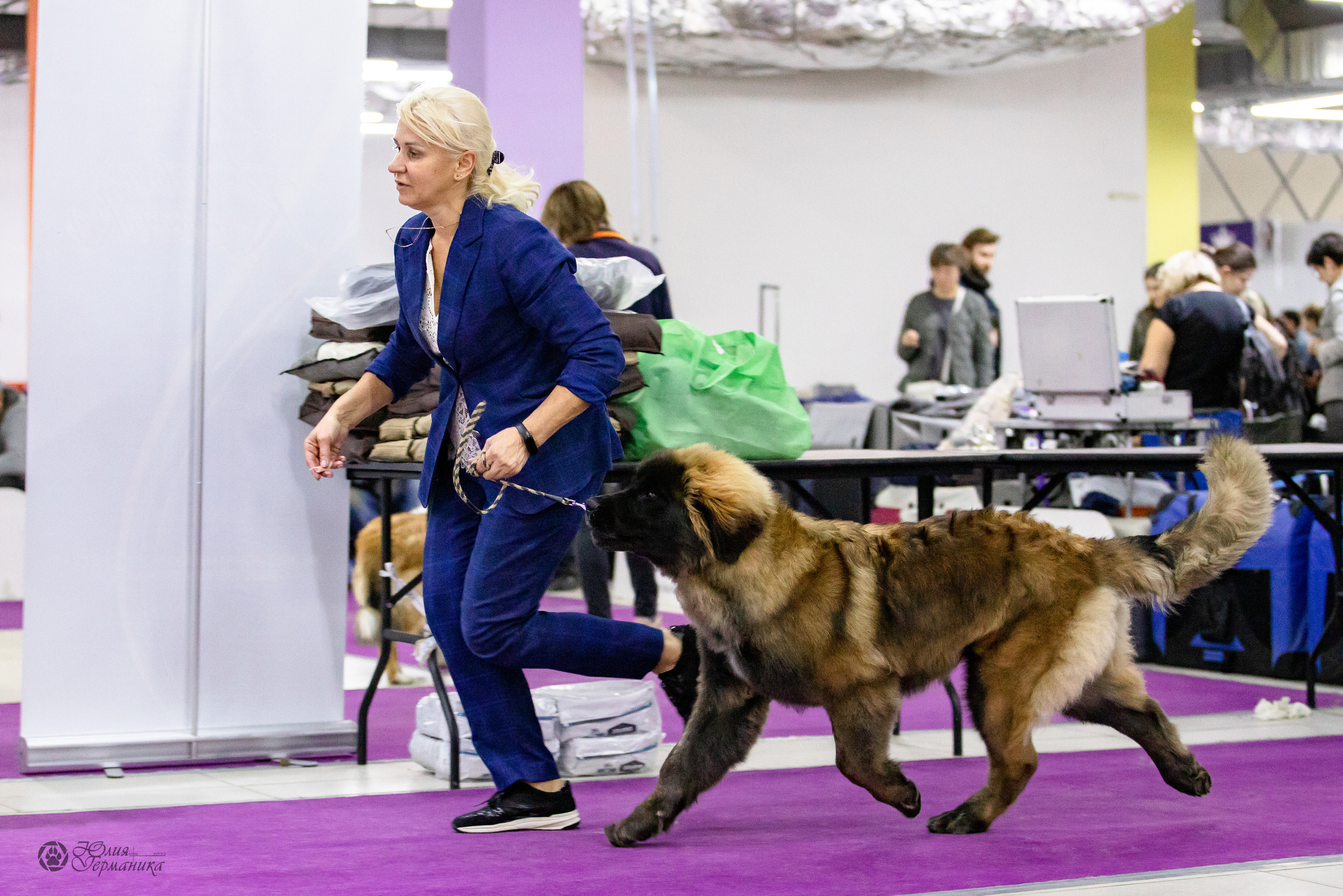 Чайна-Таун 29-30.10.2022. Фотограф-анималист Юлия Германика