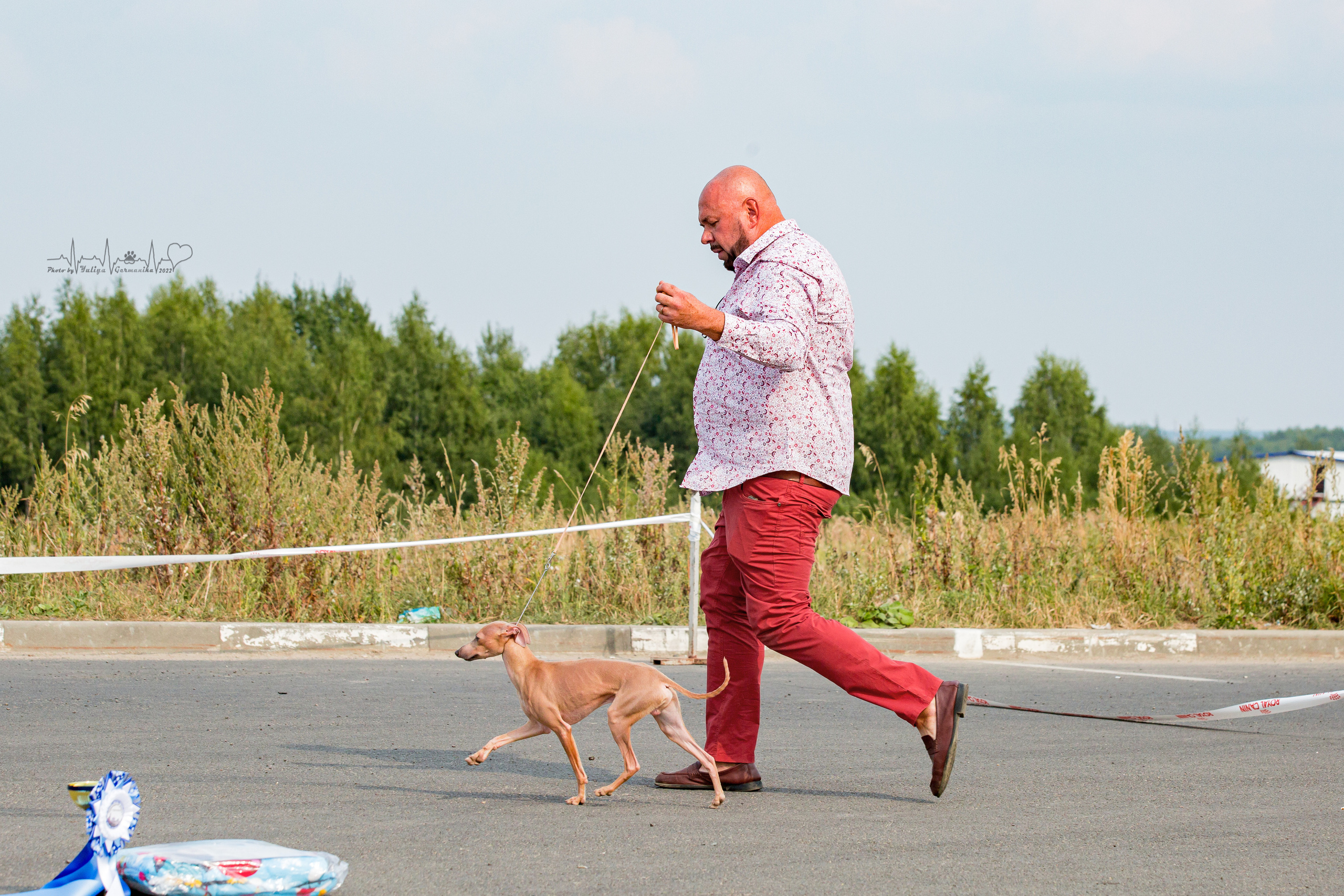Сокольники 21.08,Сергиев Посад 27-28.08 2022. Фотограф-анималист Юлия Германика