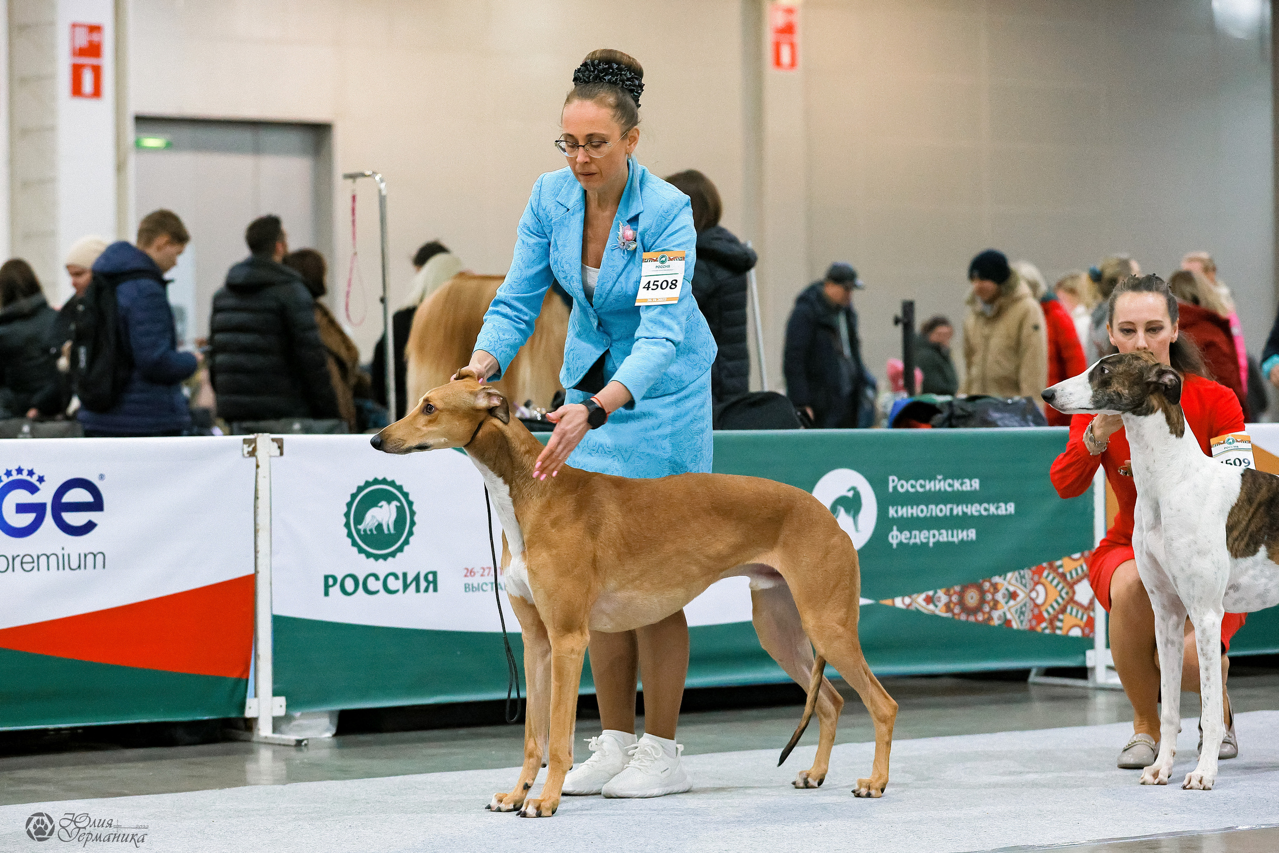 Россия 2020-2022 26-27.11.2022. Фотограф-анималист Юлия Германика