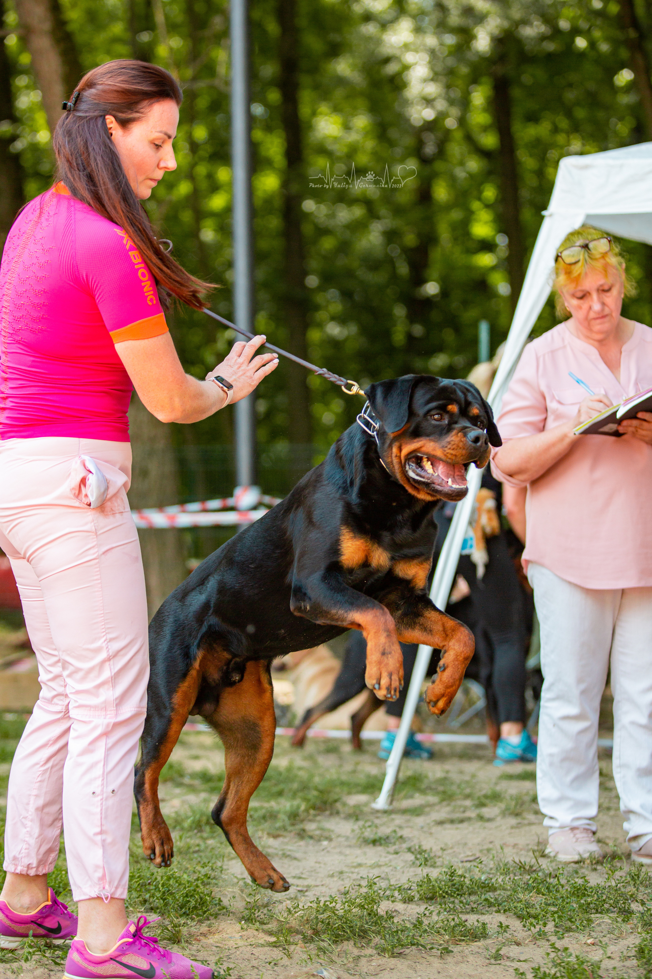 Ховрино фестиваль монопородок 14.08.2022. Фотограф-анималист Юлия Германика