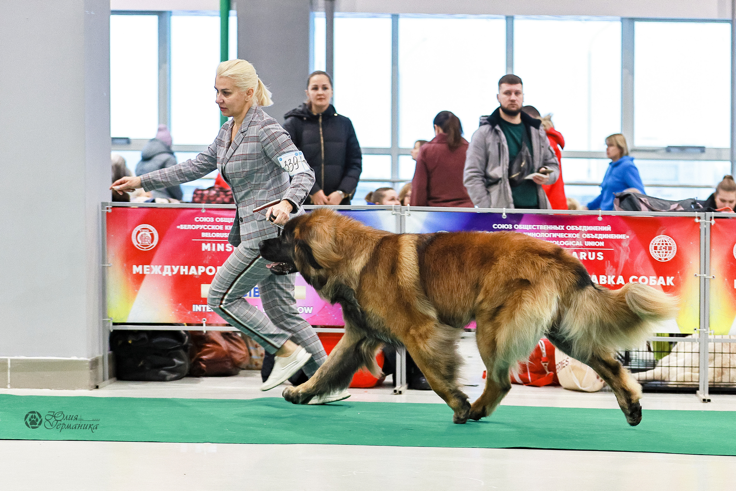 Минск 19-20.11.2022. Фотограф-анималист Юлия Германика