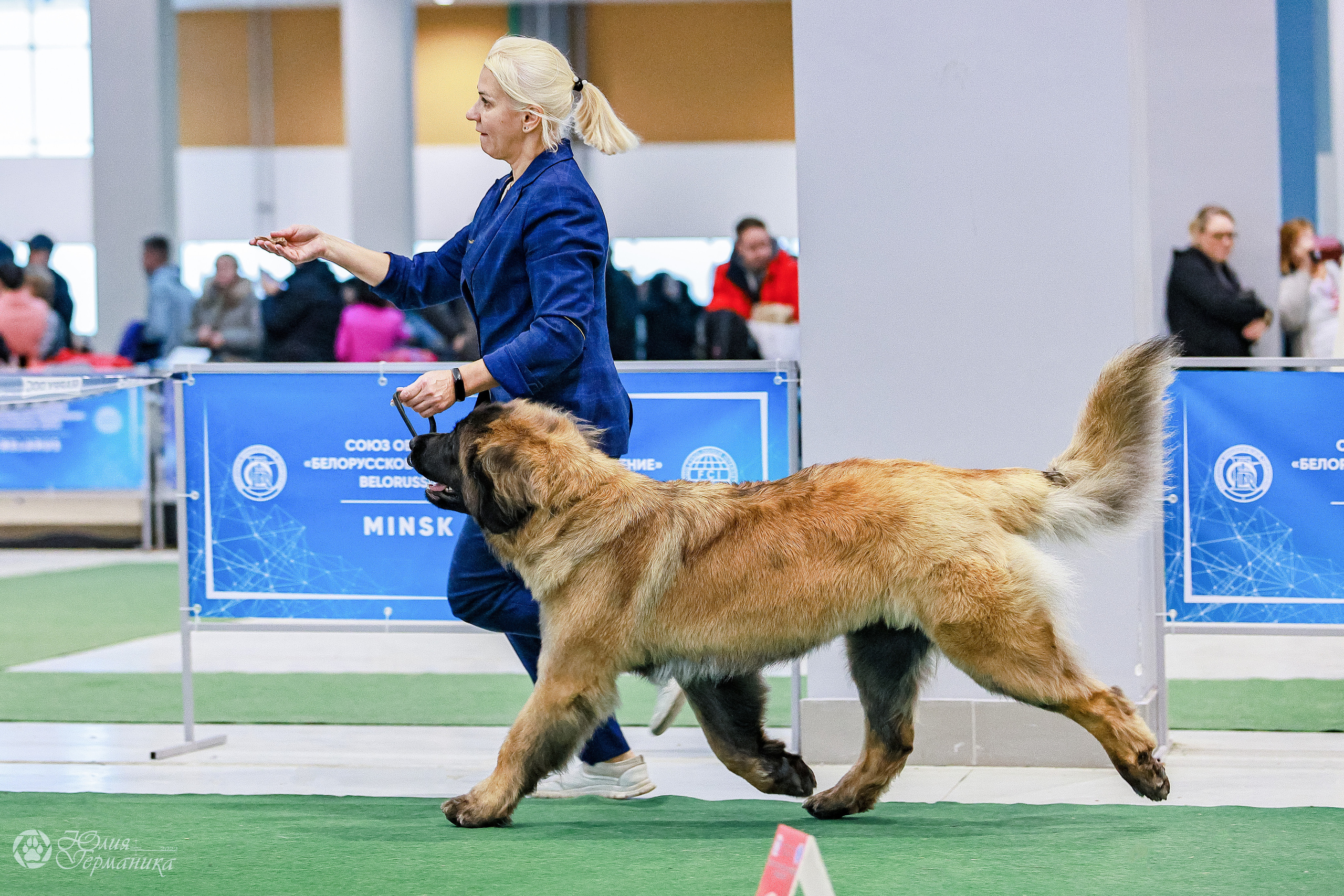 Минск 19-20.11.2022. Фотограф-анималист Юлия Германика