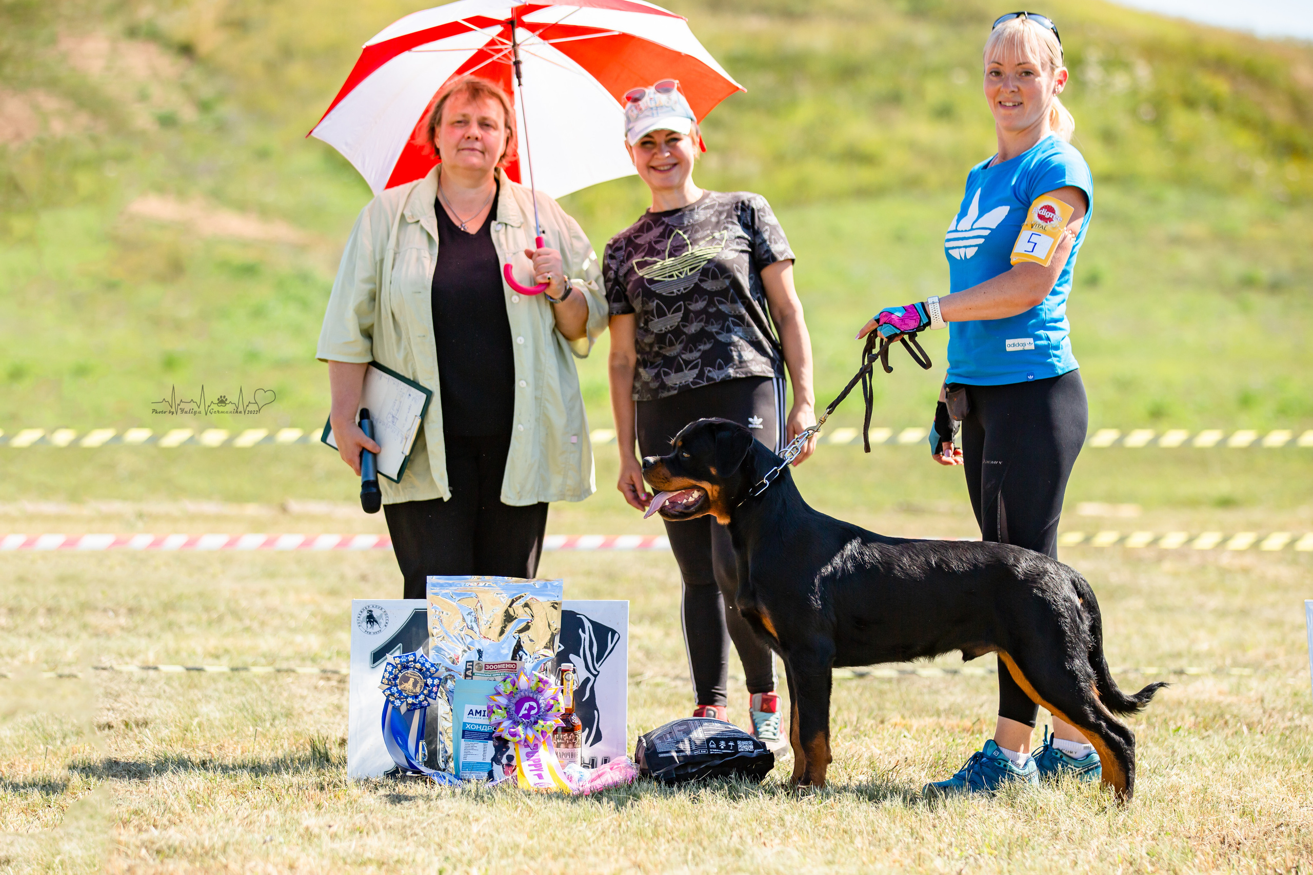 Рязань моно ротвейлеров 13.08.2022. Фотограф-анималист Юлия Германика