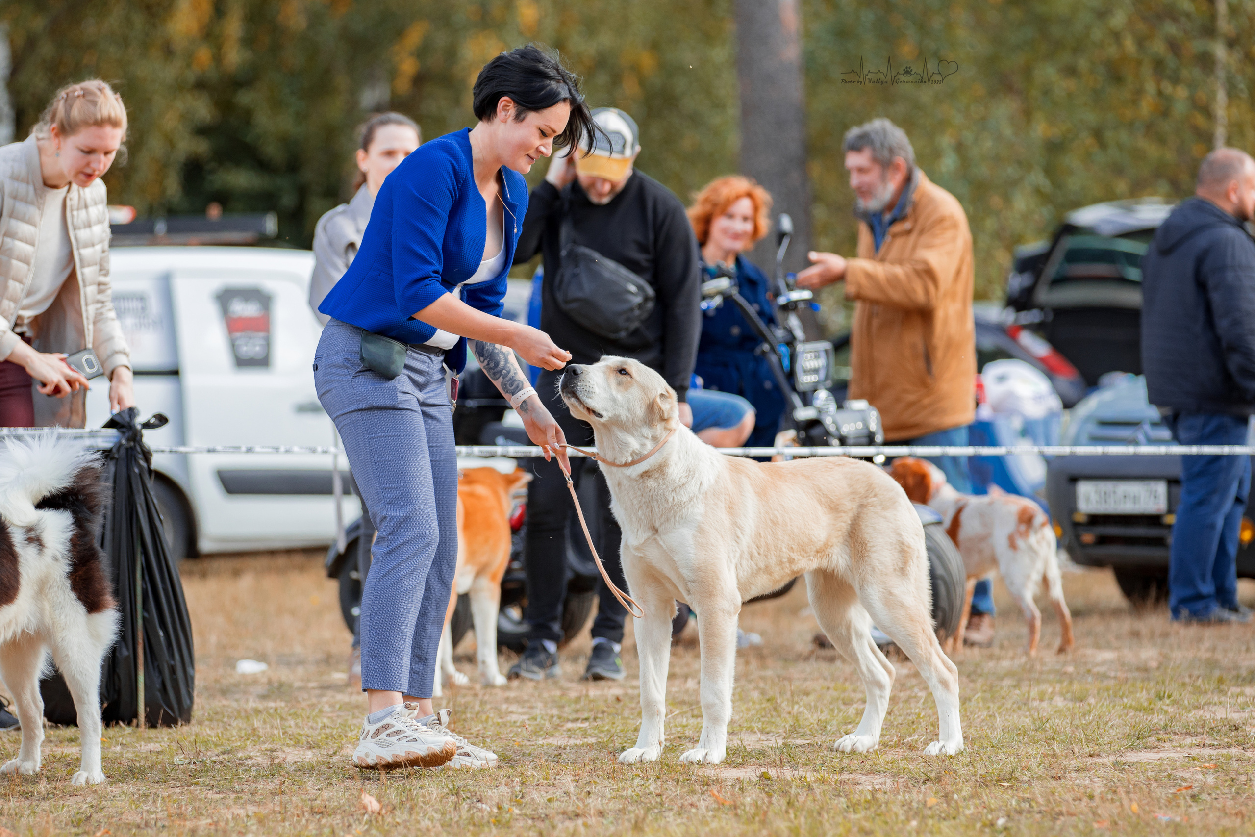 Пушкино ЧРКФ 17.09.2022. Фотограф-анималист Юлия Германика