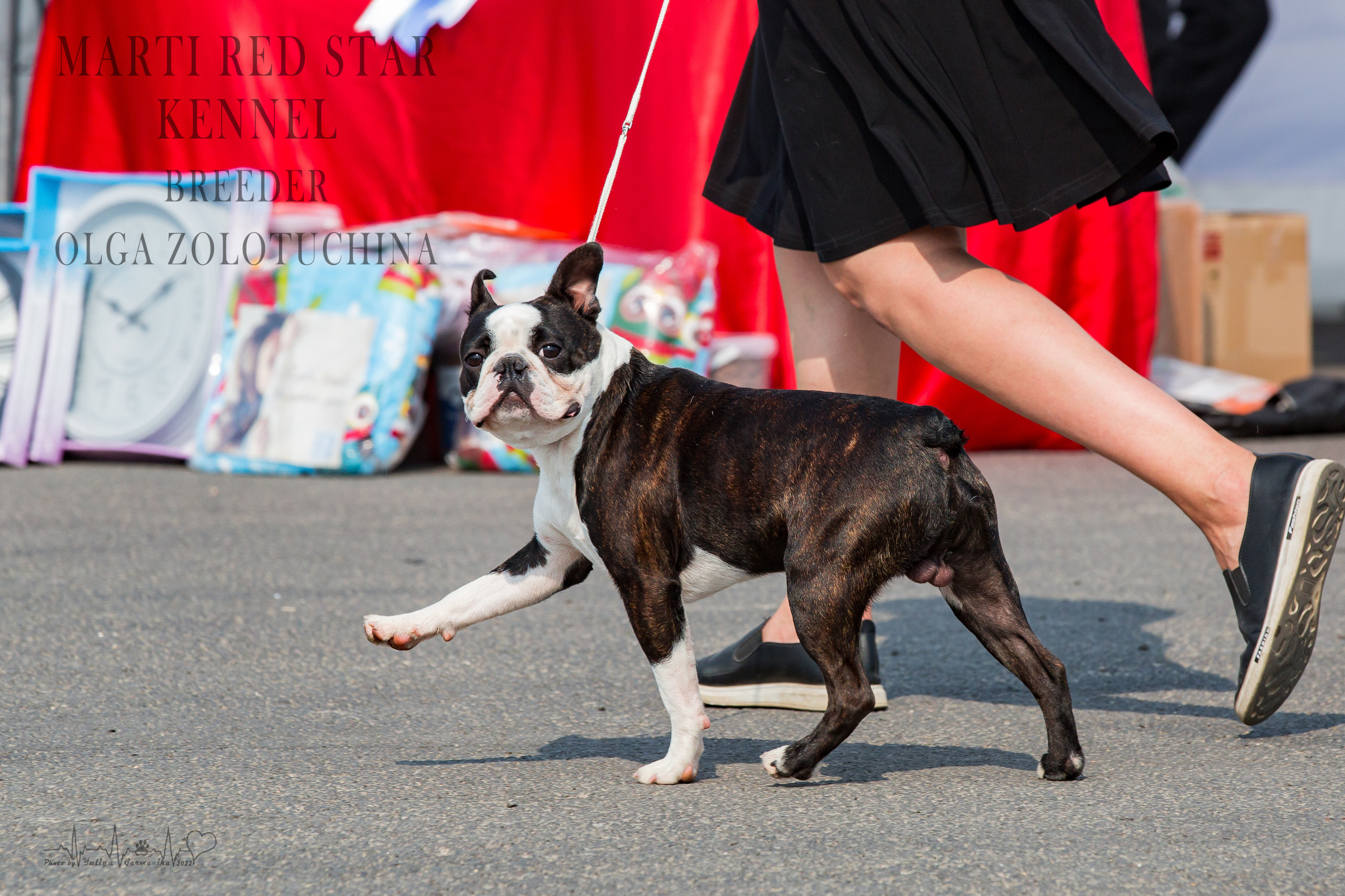Сокольники 21.08,Сергиев Посад 27-28.08 2022. Фотограф-анималист Юлия Германика