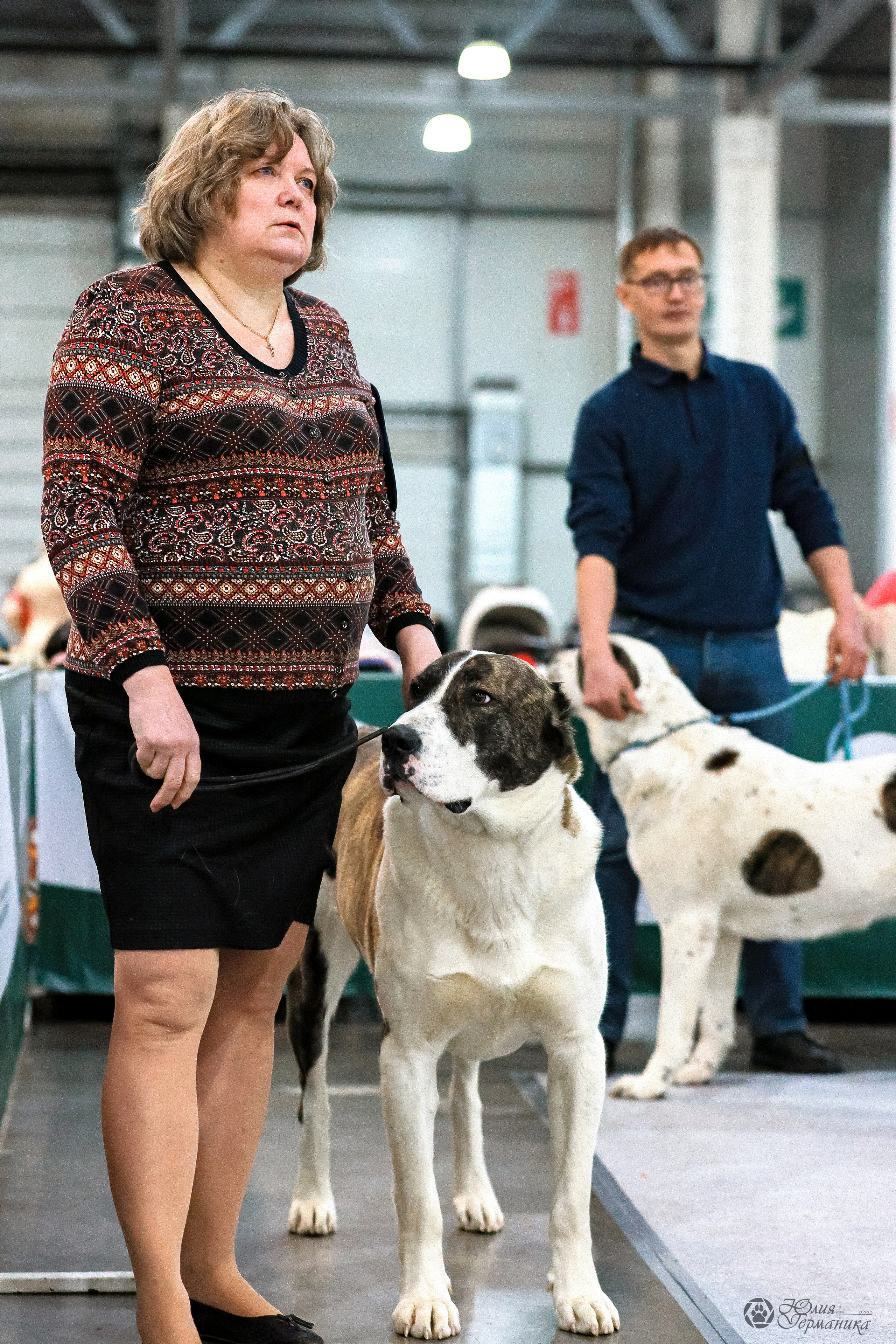 Россия 2020-2022 26-27.11.2022. Фотограф-анималист Юлия Германика