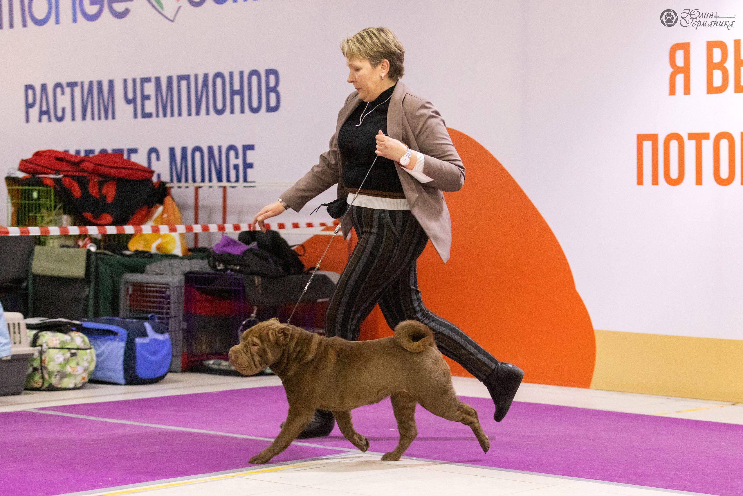 Чайна-Таун 3 и 12.11.2022. Фотограф-анималист Юлия Германика