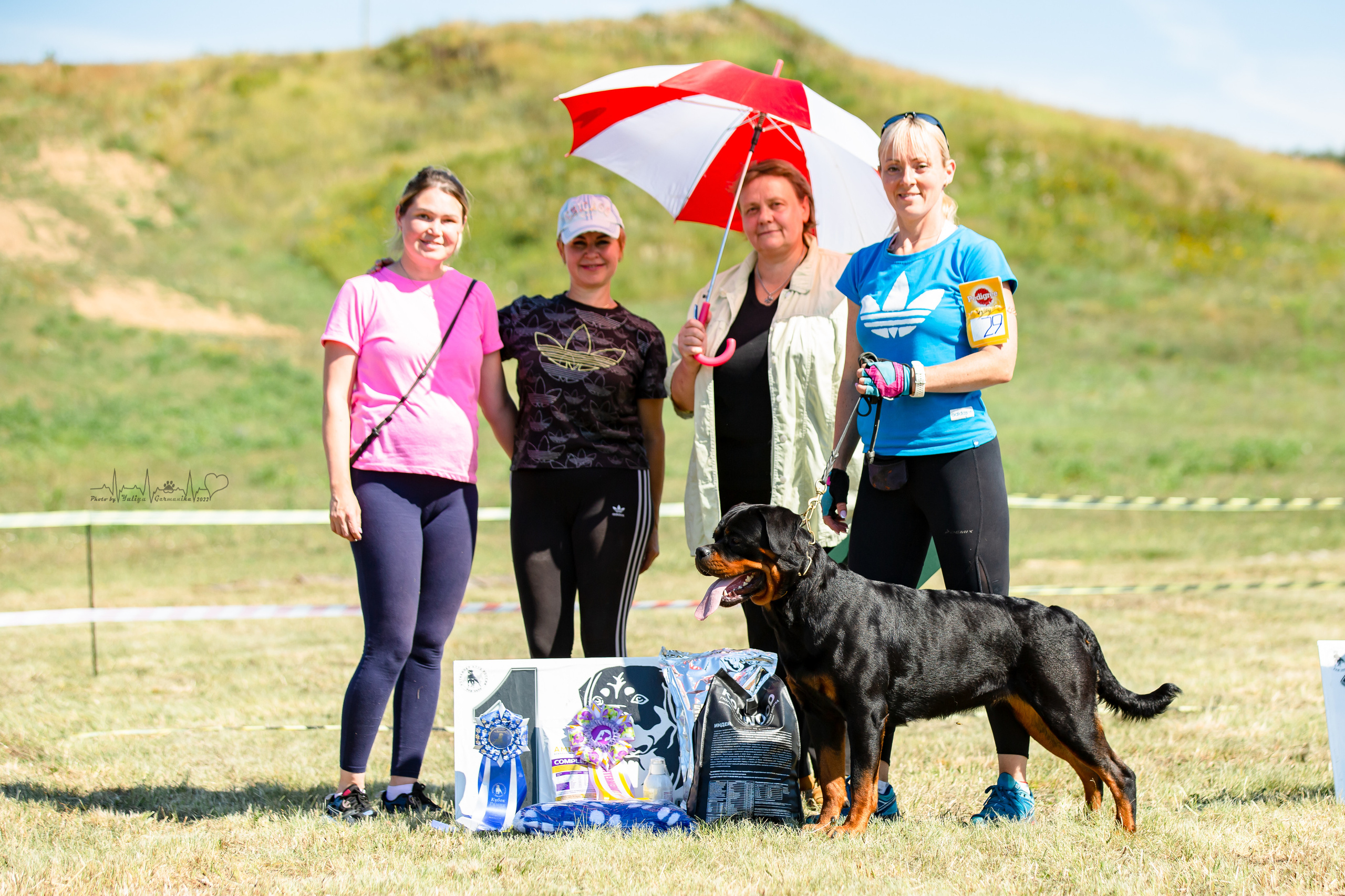 Рязань моно ротвейлеров 13.08.2022. Фотограф-анималист Юлия Германика