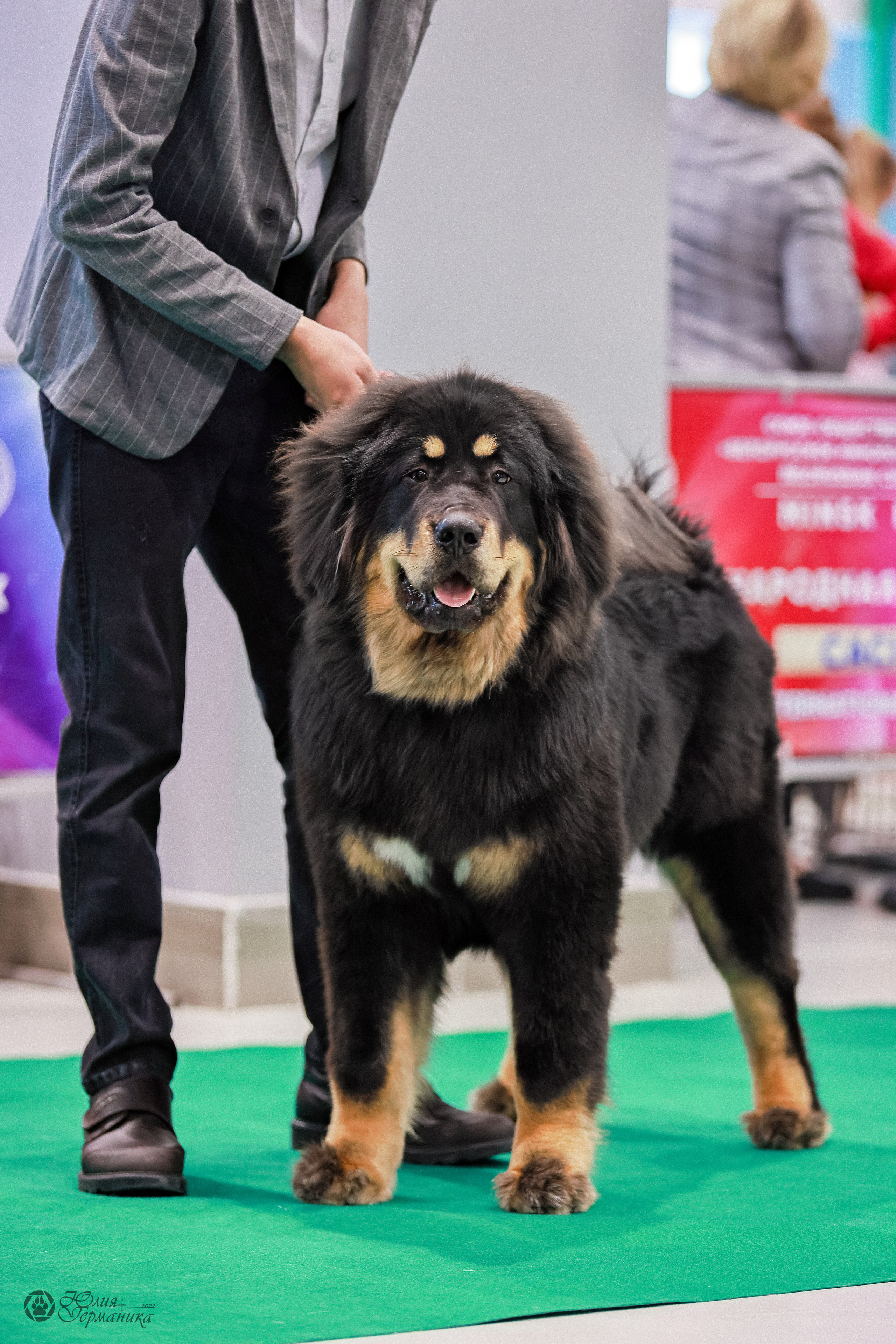 Минск 19-20.11.2022. Фотограф-анималист Юлия Германика