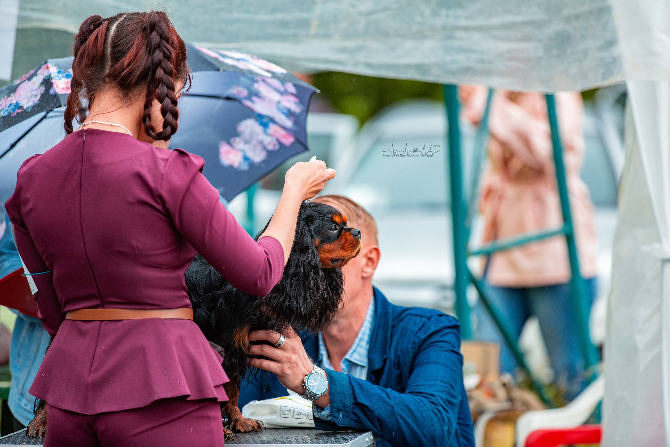 Ховрино 31.07,Чайна-Таун 6.08,Тверь 7.08. Фотограф-анималист Юлия Германика