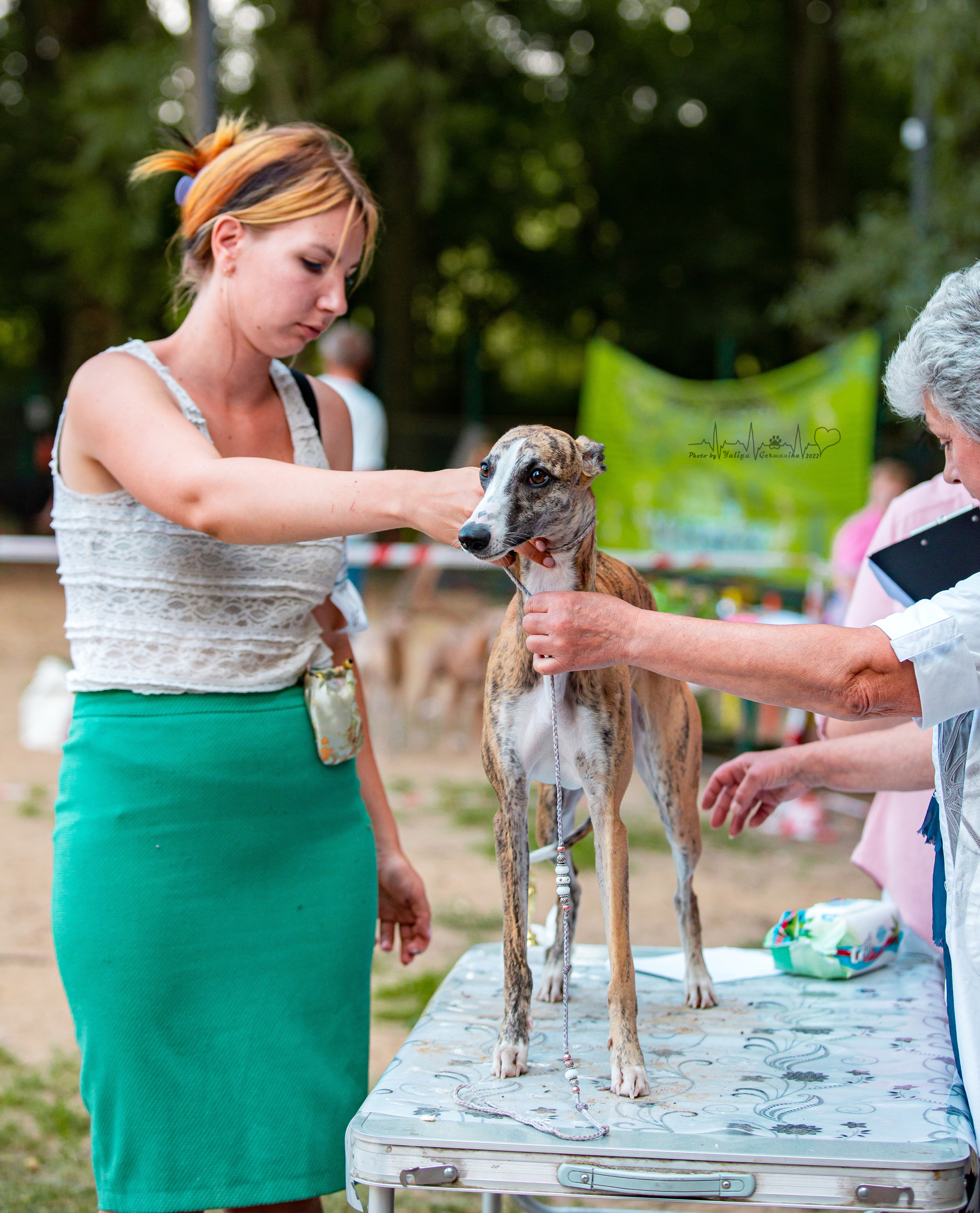 Ховрино фестиваль монопородок 14.08.2022. Фотограф-анималист Юлия Германика