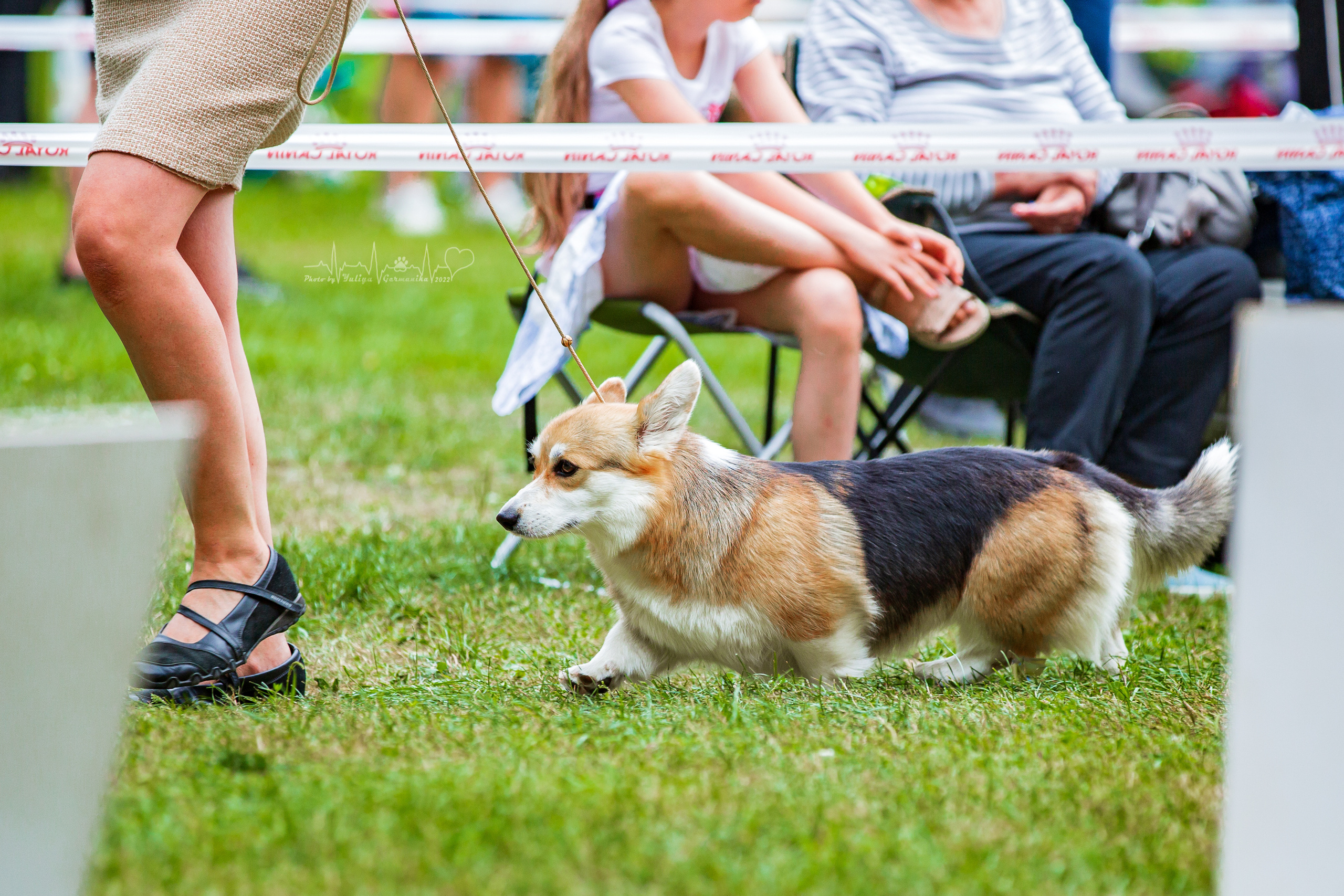 Сокольники 21.08,Сергиев Посад 27-28.08 2022. Фотограф-анималист Юлия Германика
