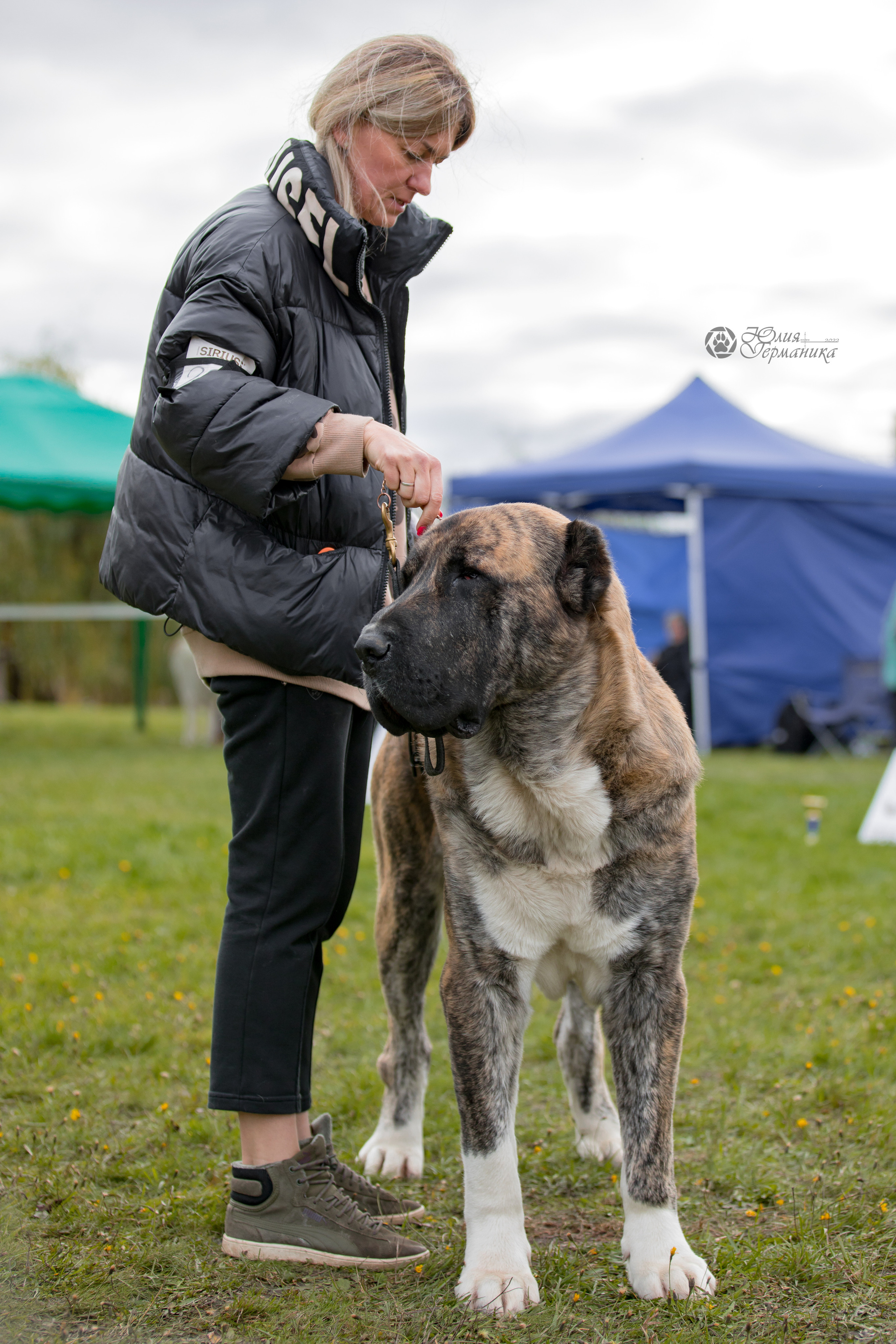 Александрова Слобода моно сао 2.10.2022. Фотограф-анималист Юлия Германика