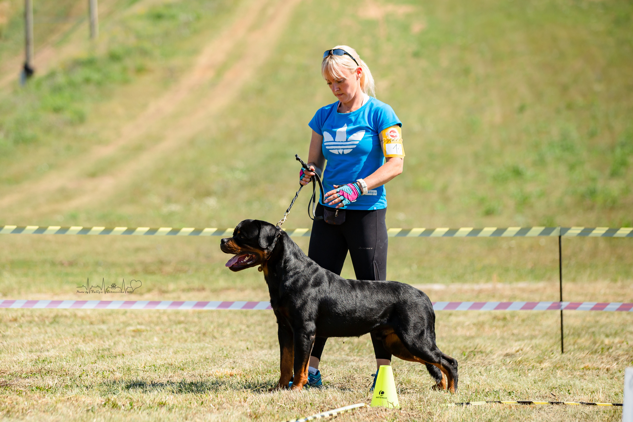 Рязань моно ротвейлеров 13.08.2022. Фотограф-анималист Юлия Германика
