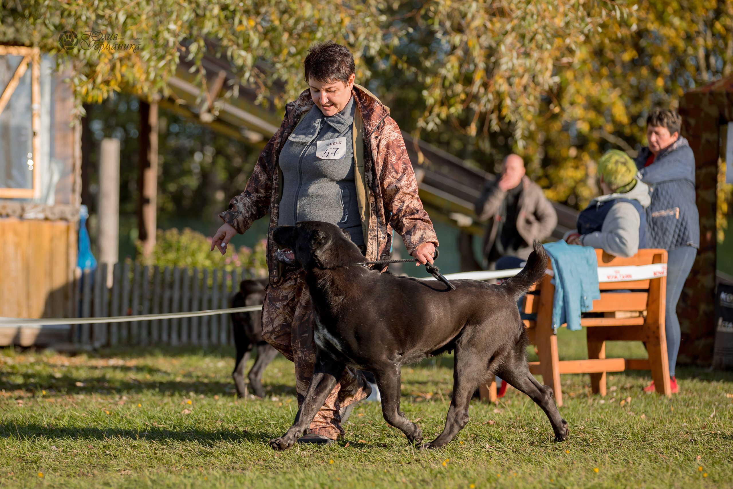 Александрова Слобода моно сао 2.10.2022. Фотограф-анималист Юлия Германика