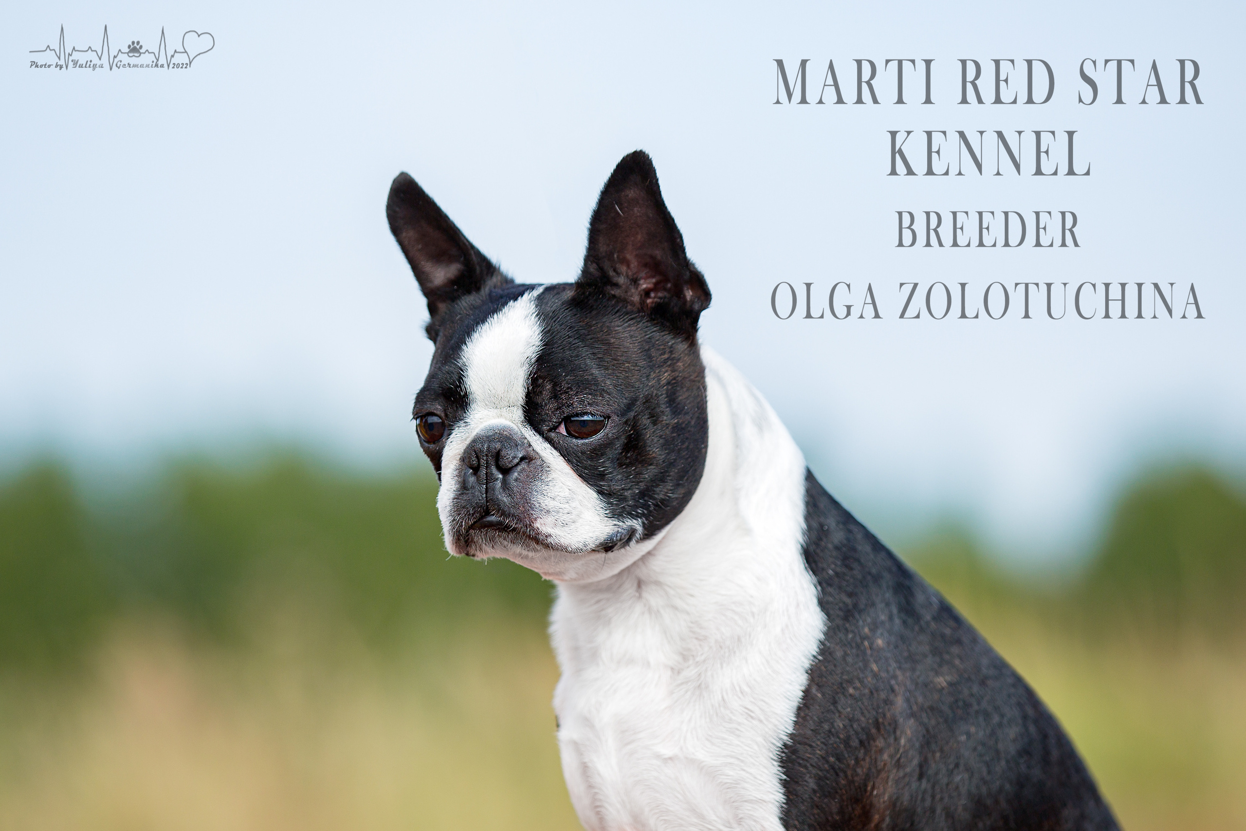 Сокольники 21.08,Сергиев Посад 27-28.08 2022. Фотограф-анималист Юлия Германика