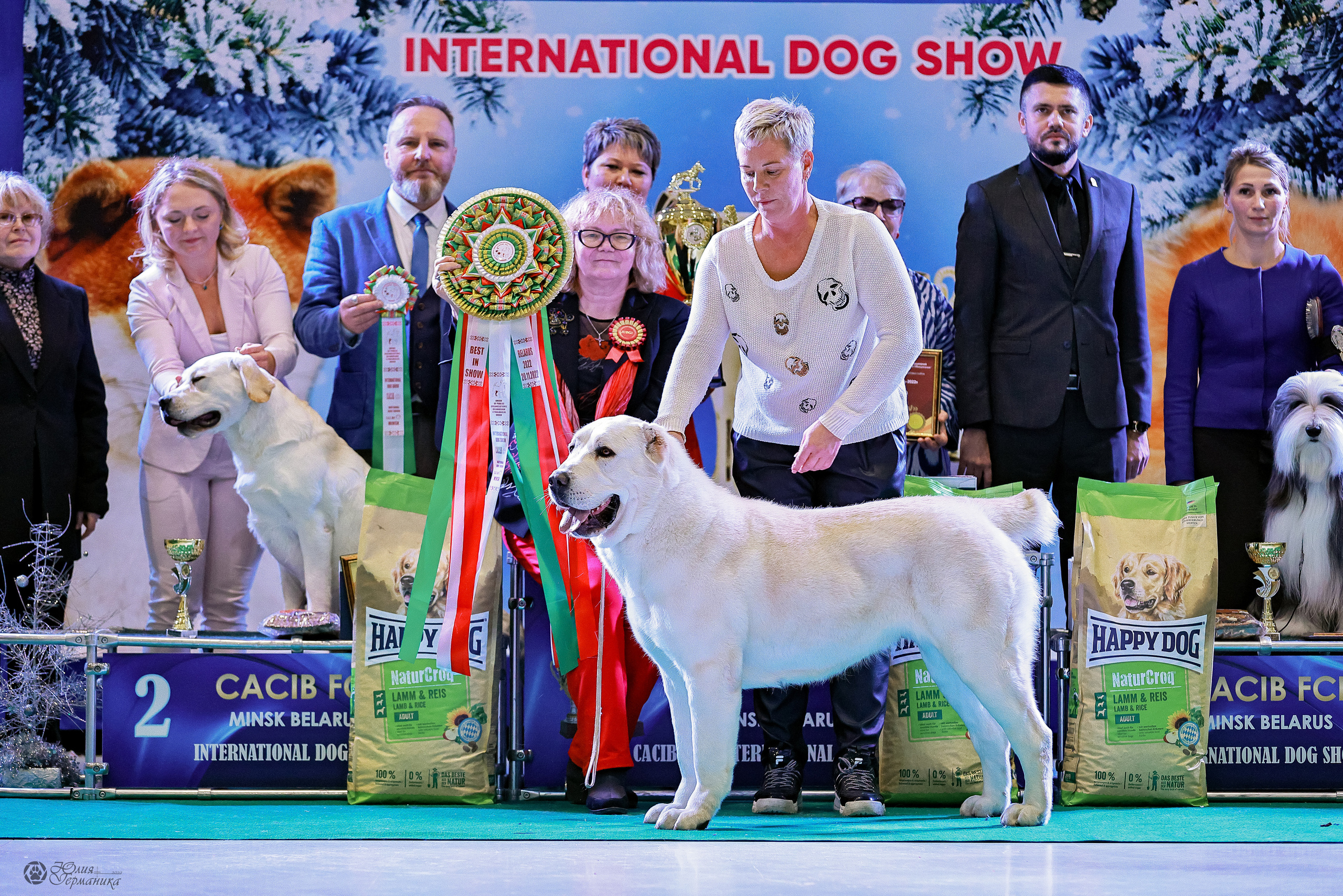 Минск 19-20.11.2022. Фотограф-анималист Юлия Германика