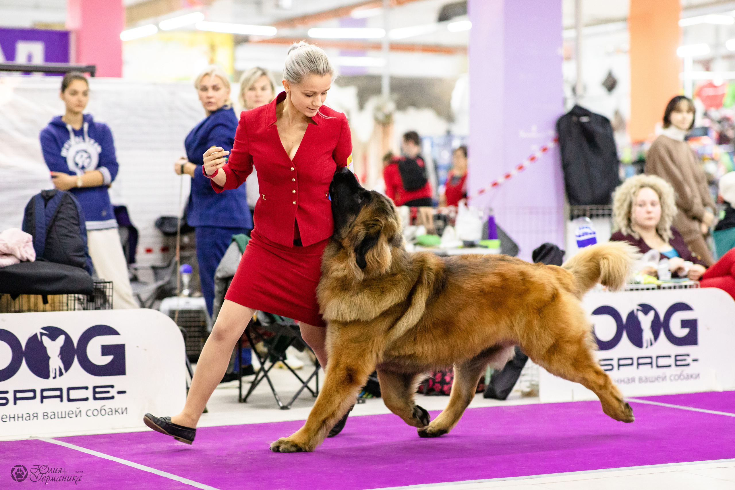 Чайна-Таун 29-30.10.2022. Фотограф-анималист Юлия Германика