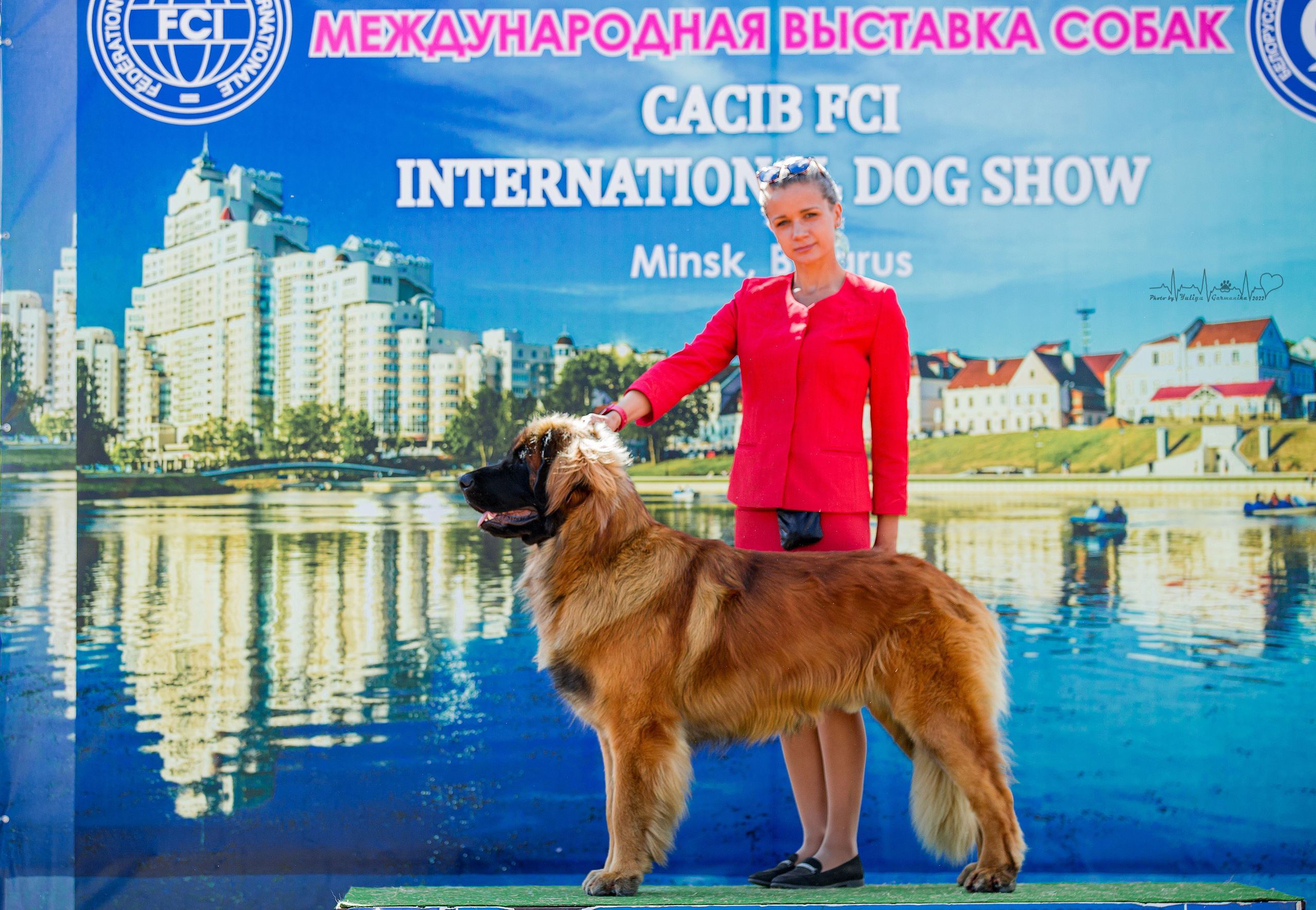 Минск 2хCACIB 3-4.09.2022. Фотограф-анималист Юлия Германика