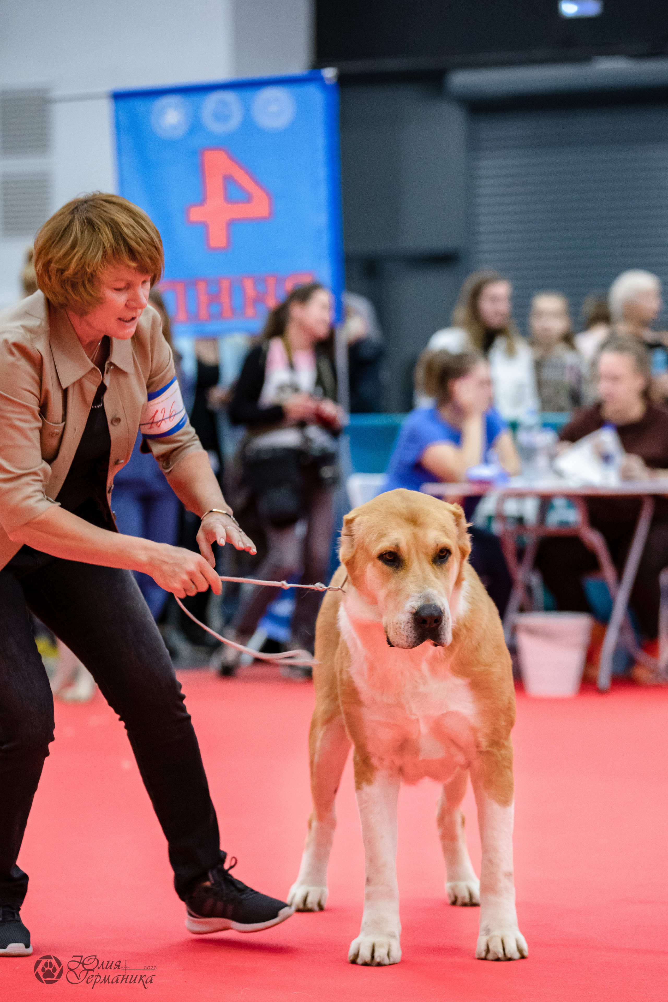 Нижний Новгород 15-16.10.2022. Фотограф-анималист Юлия Германика