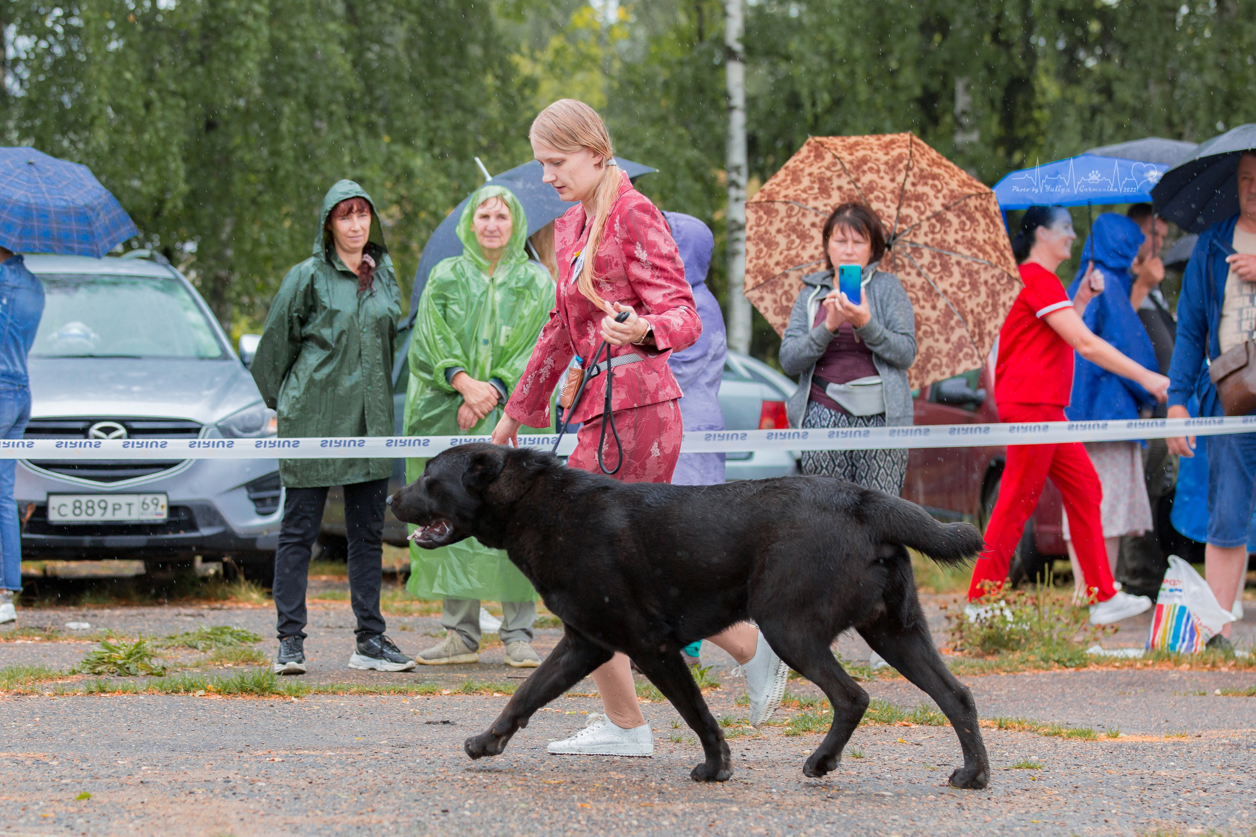 Ховрино 31.07,Чайна-Таун 6.08,Тверь 7.08. Фотограф-анималист Юлия Германика