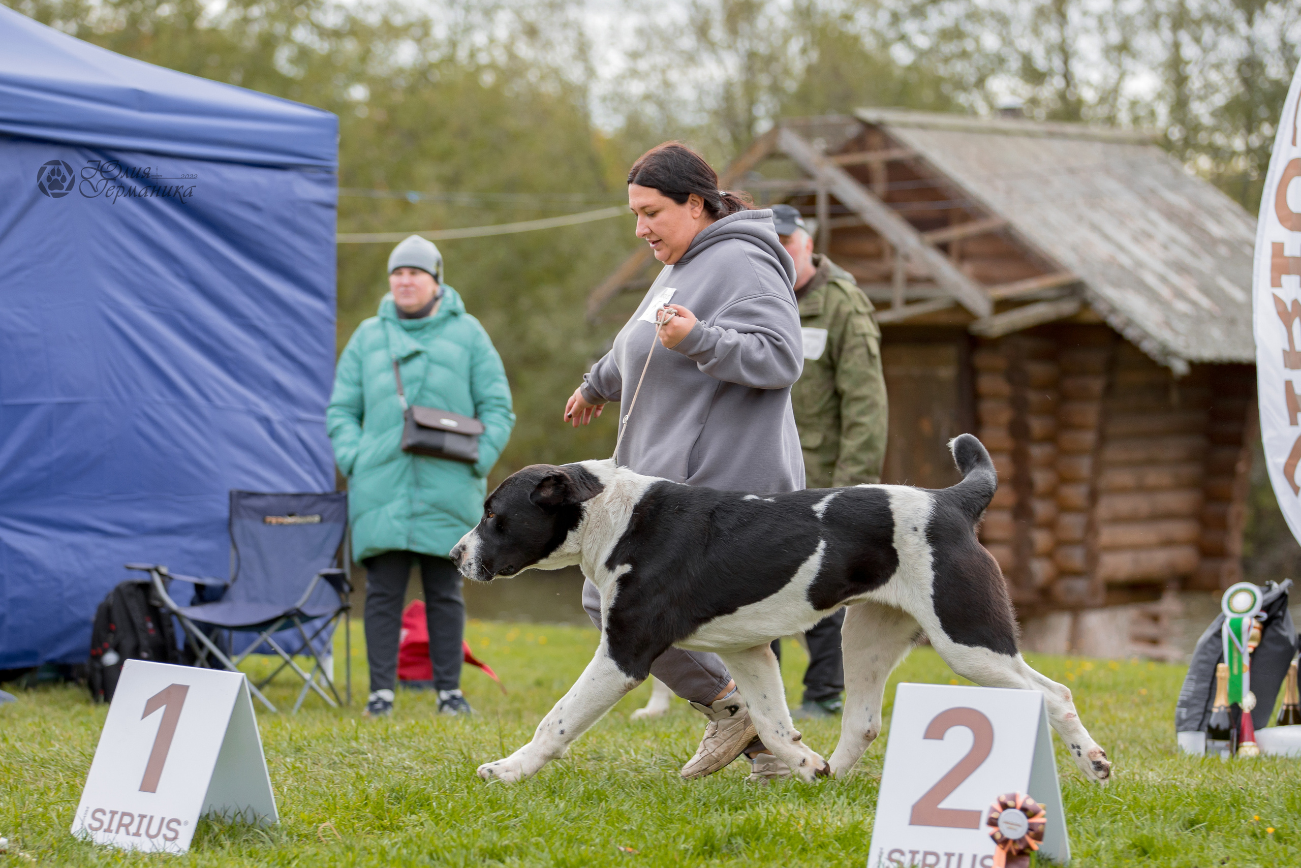 Александрова Слобода моно сао 2.10.2022. Фотограф-анималист Юлия Германика