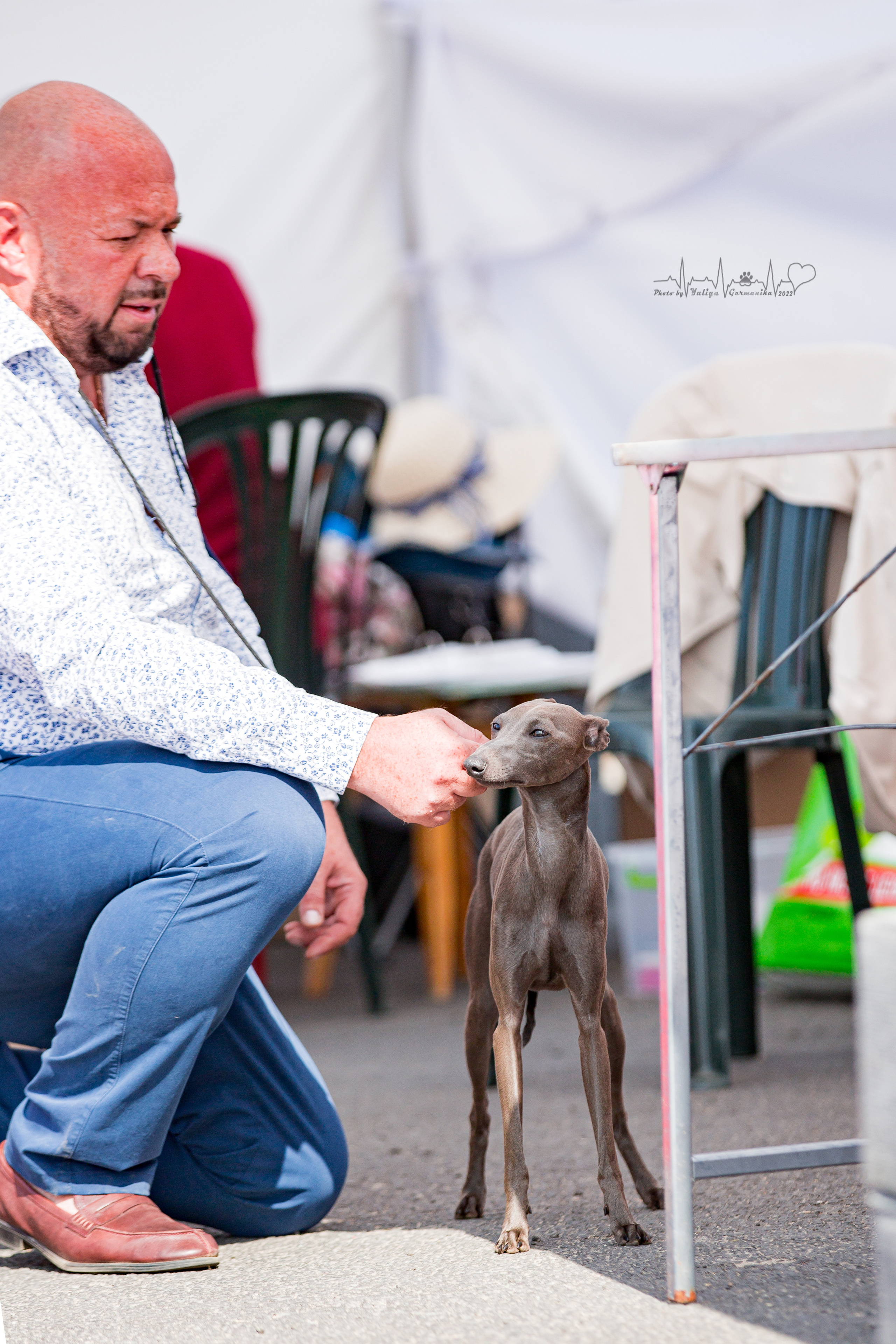 Сокольники 21.08,Сергиев Посад 27-28.08 2022. Фотограф-анималист Юлия Германика