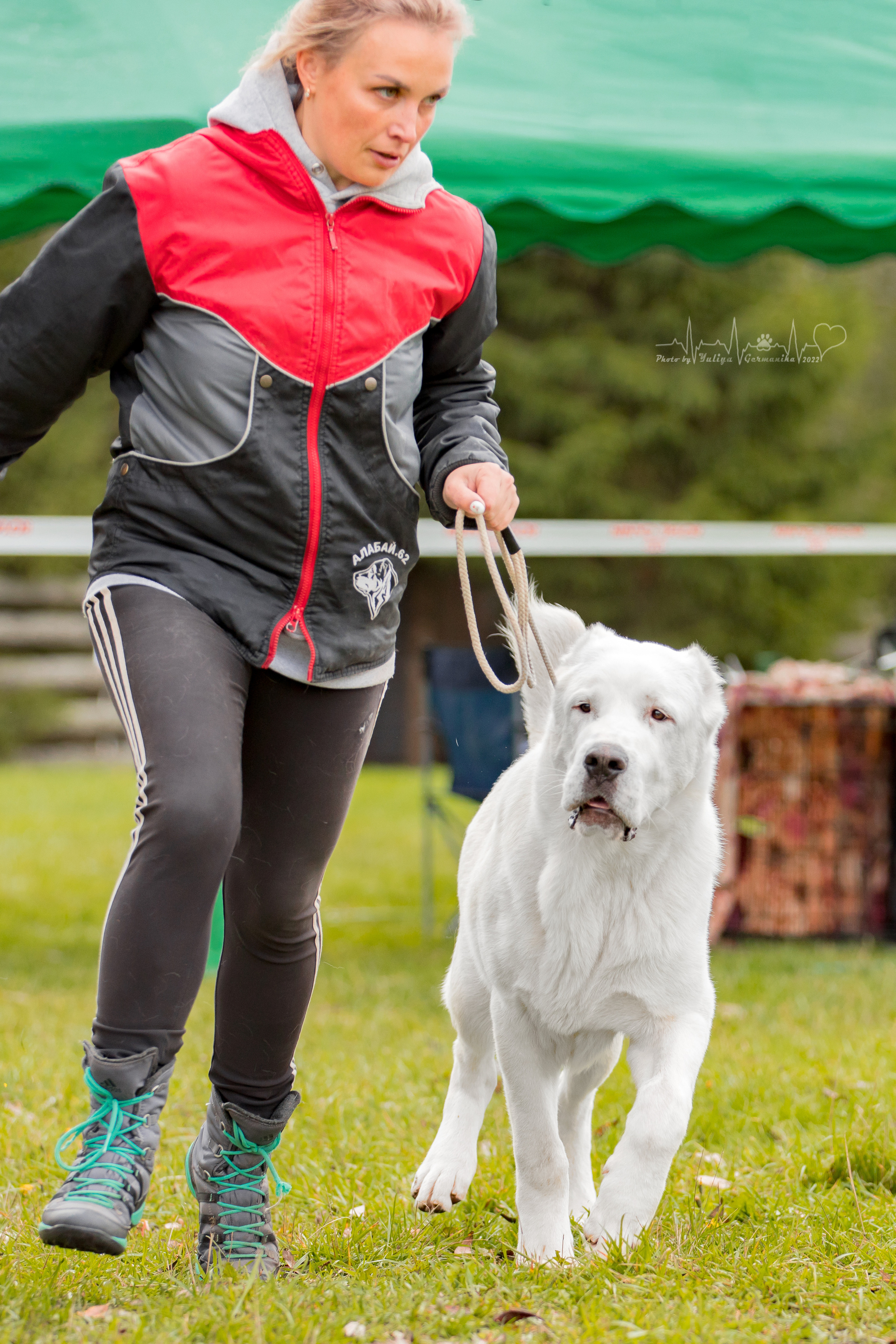 Александрова Слобода моно сао 2.10.2022. Фотограф-анималист Юлия Германика