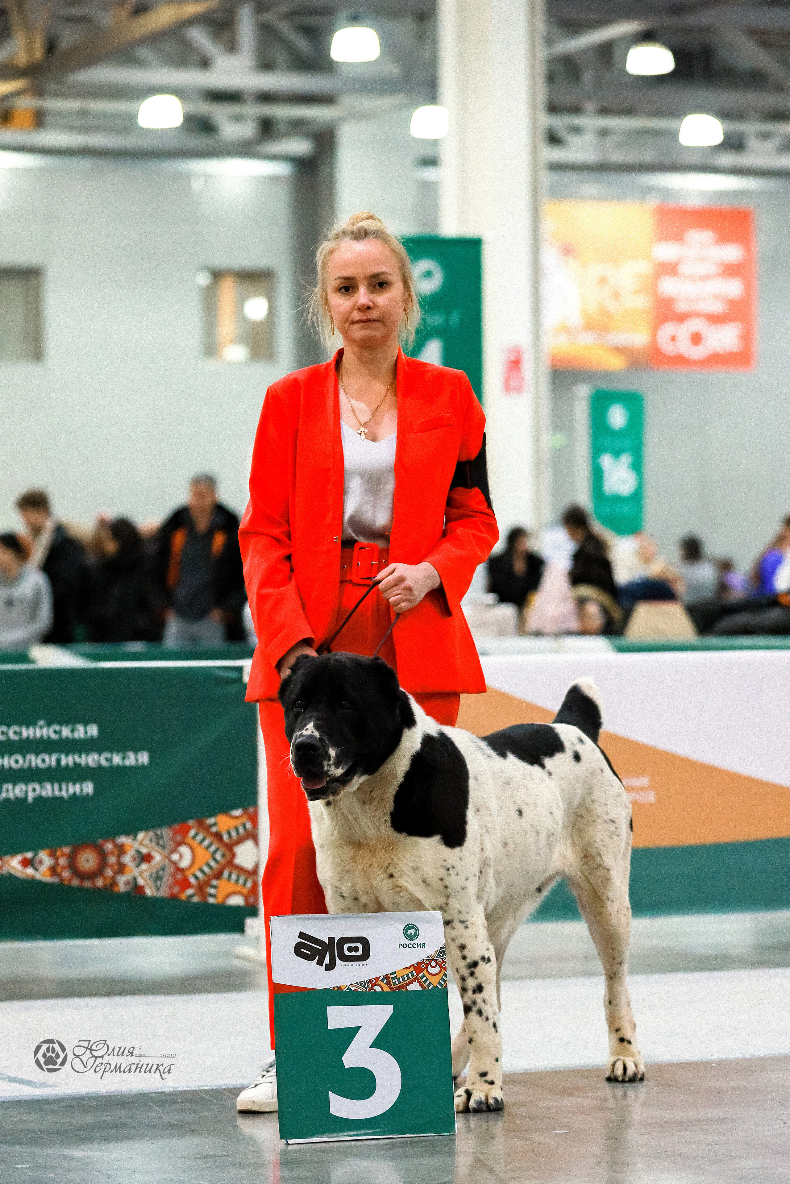 Россия 2020-2022 26-27.11.2022. Фотограф-анималист Юлия Германика