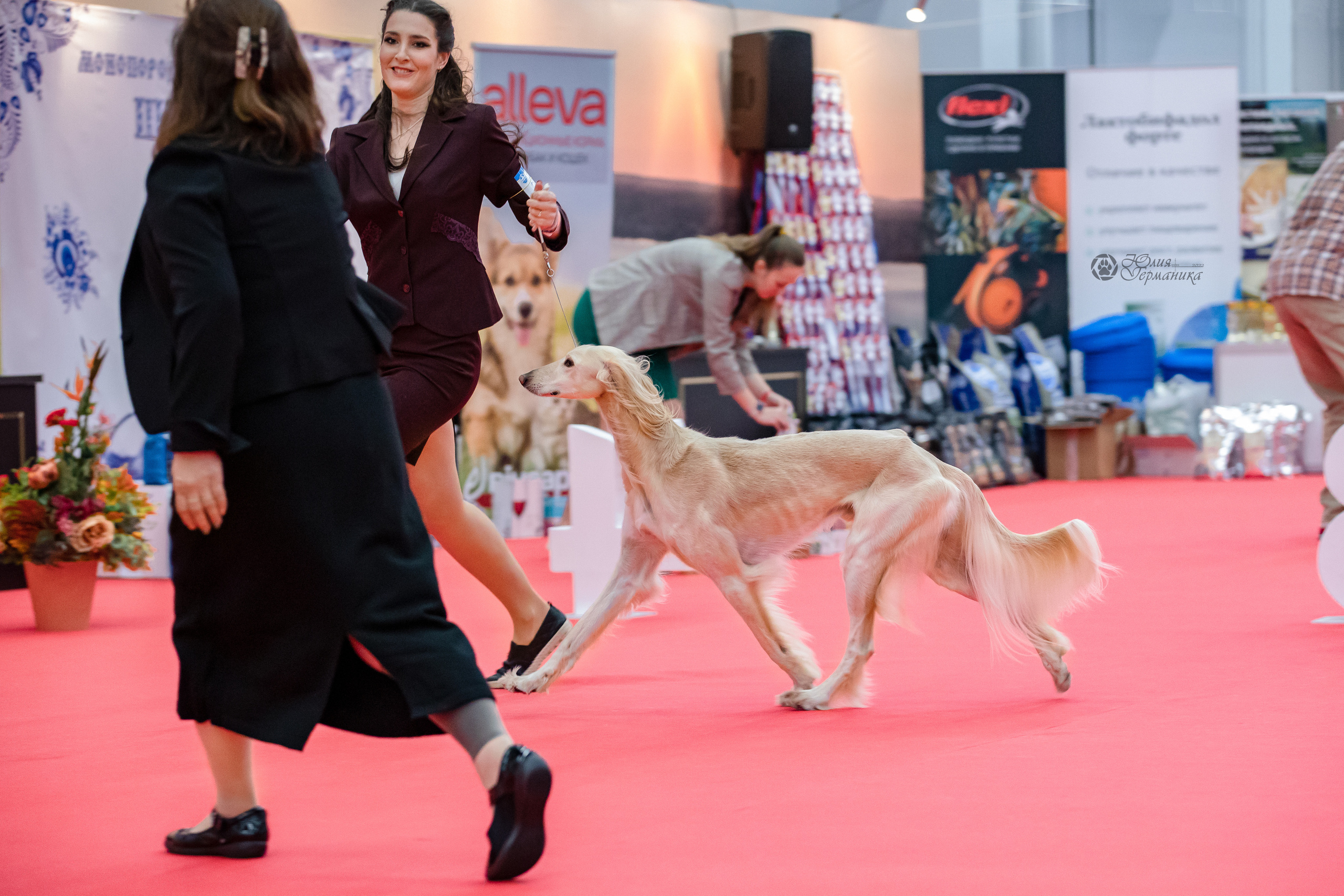 Нижний Новгород 15-16.10.2022. Фотограф-анималист Юлия Германика