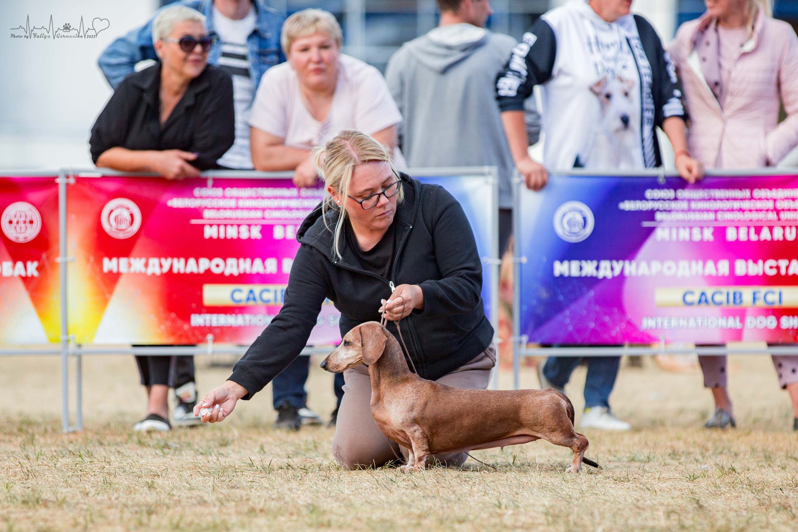 Минск 2хCACIB 3-4.09.2022. Фотограф-анималист Юлия Германика