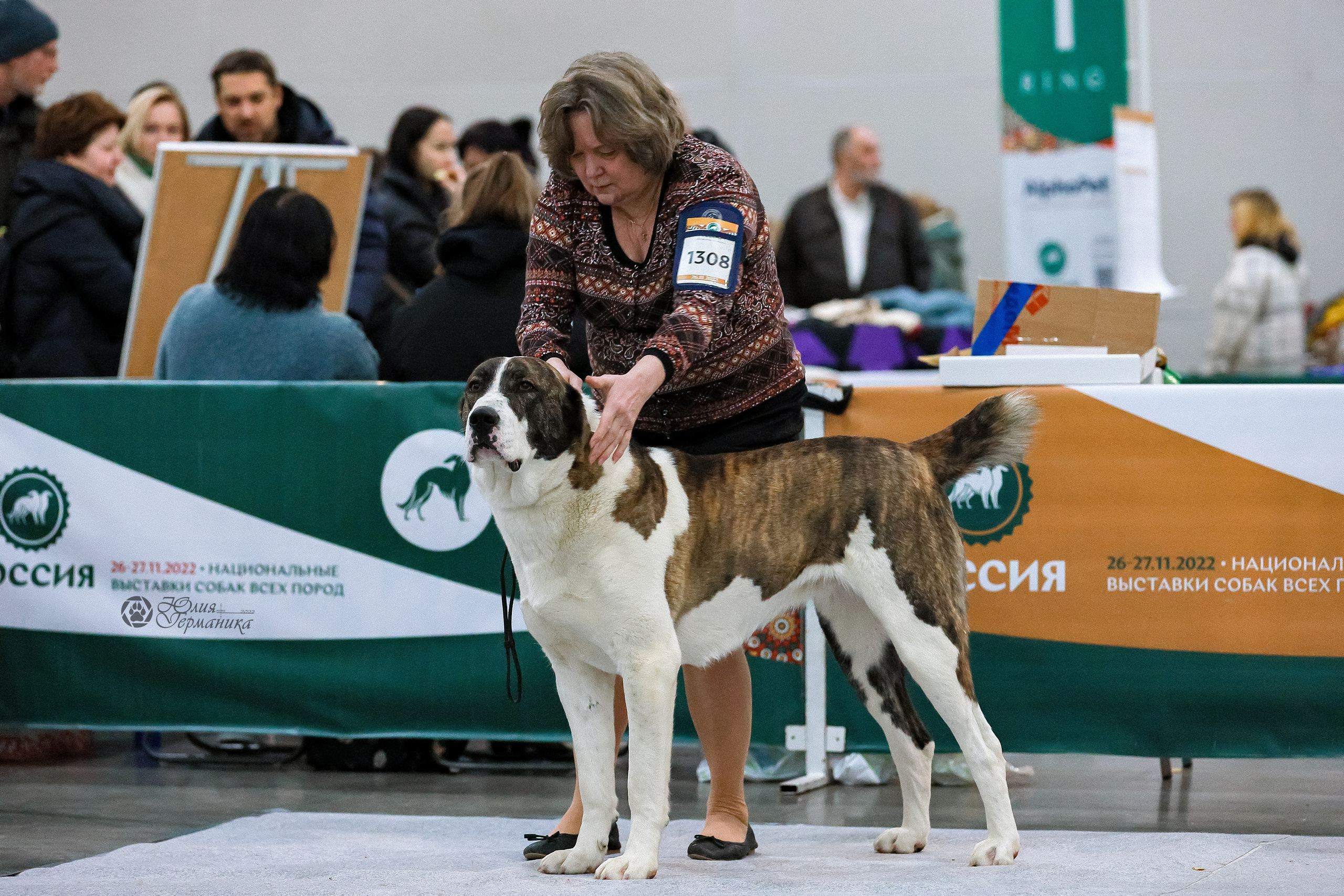 Россия 2020-2022 26-27.11.2022. Фотограф-анималист Юлия Германика