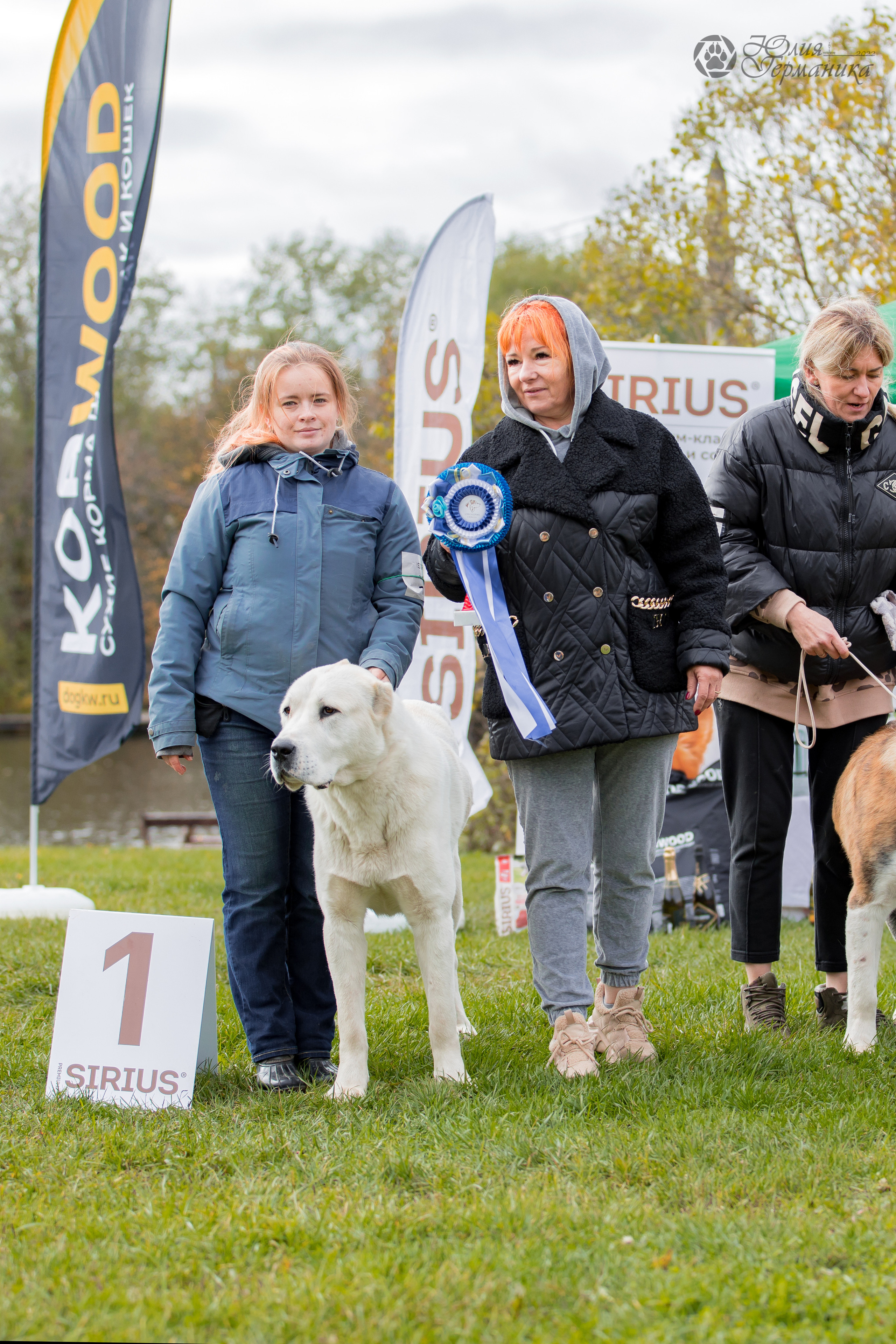 Александрова Слобода моно сао 2.10.2022. Фотограф-анималист Юлия Германика