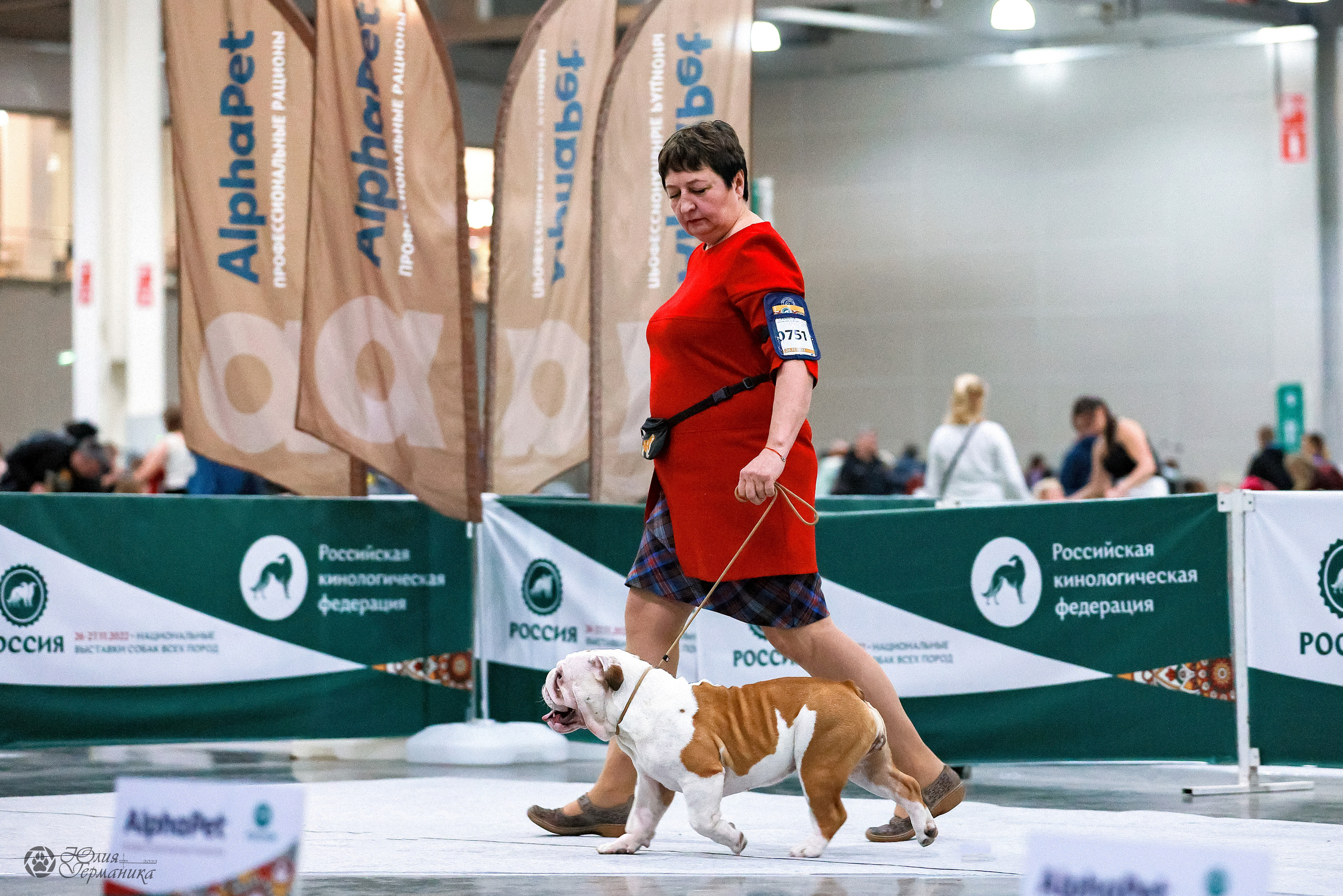 Россия 2020-2022 26-27.11.2022. Фотограф-анималист Юлия Германика