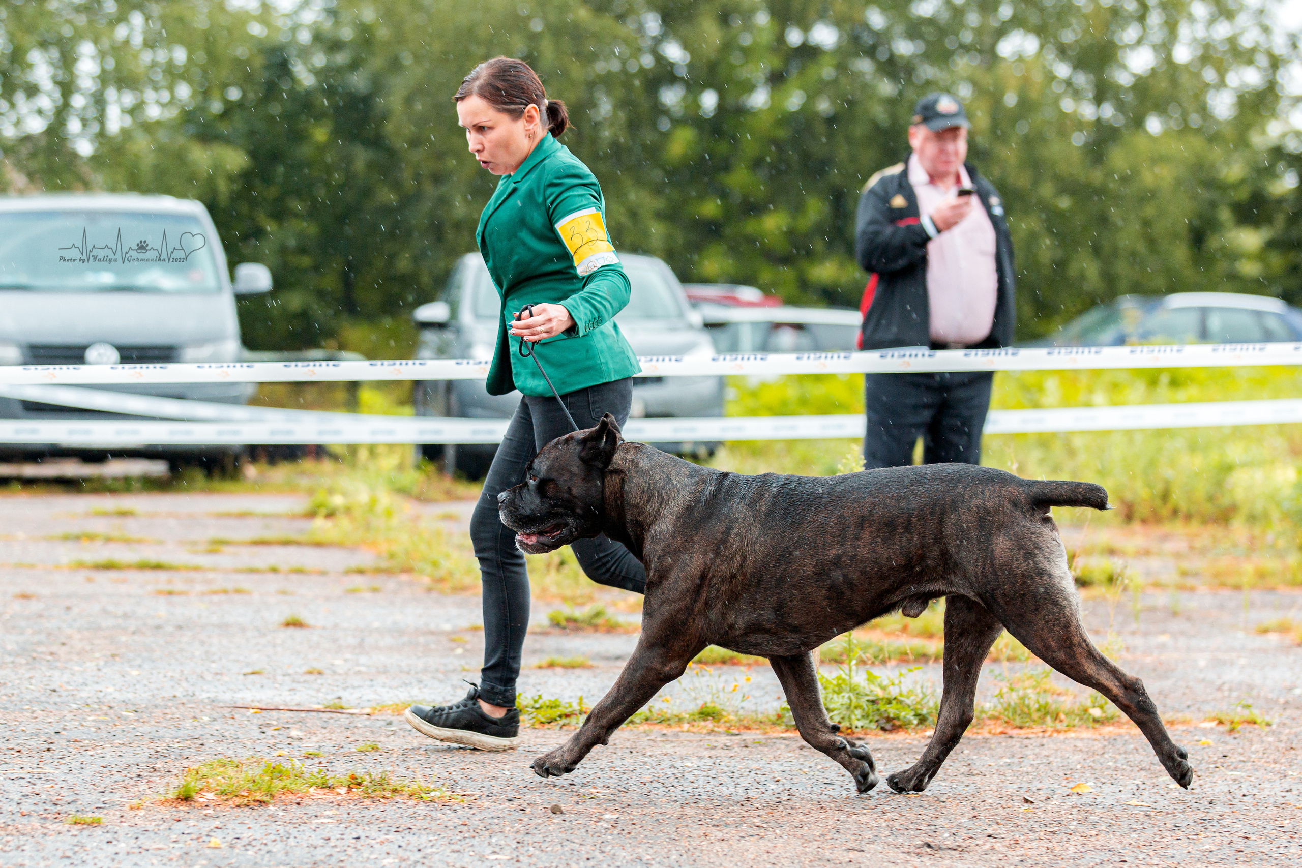 Ховрино 31.07,Чайна-Таун 6.08,Тверь 7.08. Фотограф-анималист Юлия Германика