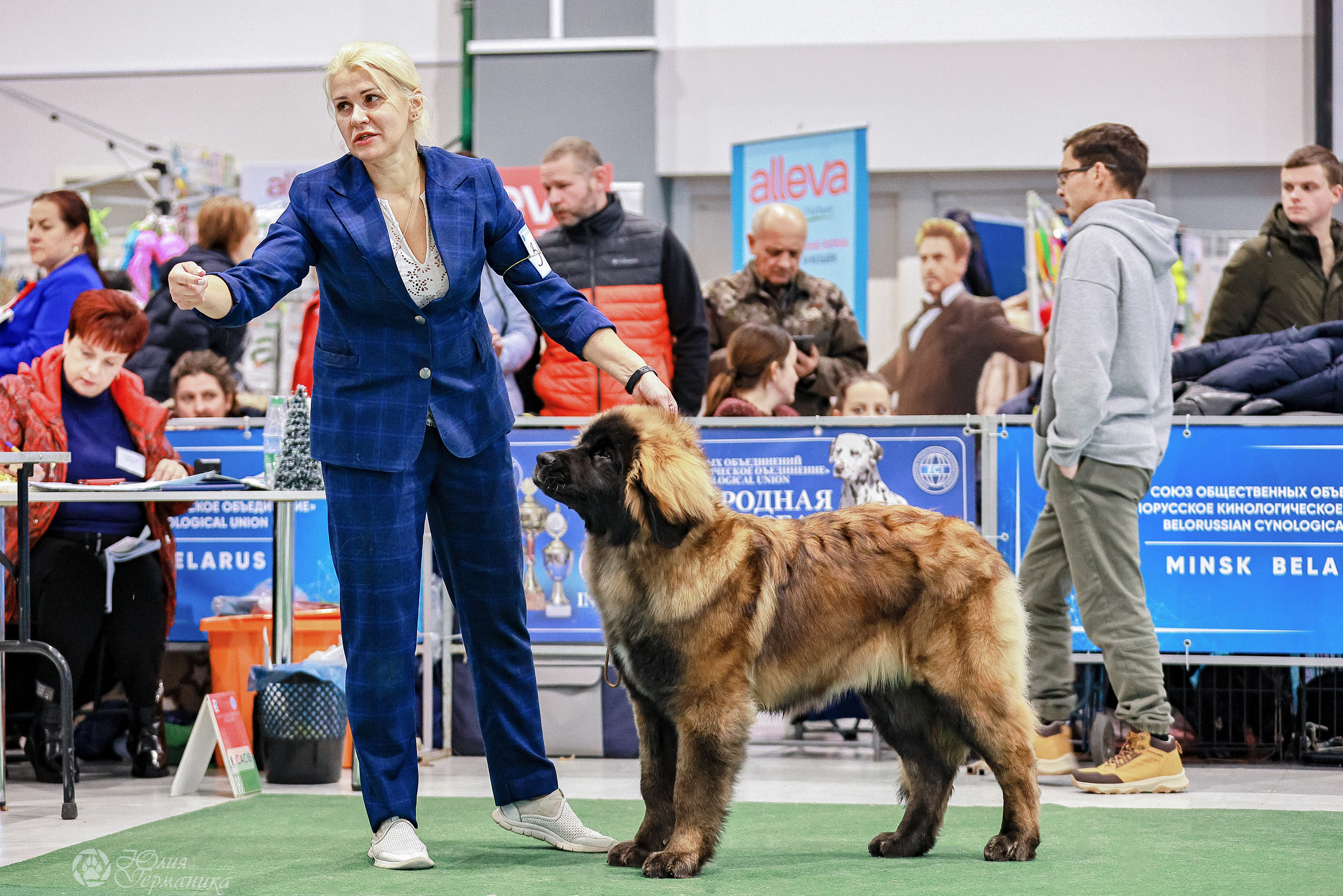 Минск 19-20.11.2022. Фотограф-анималист Юлия Германика