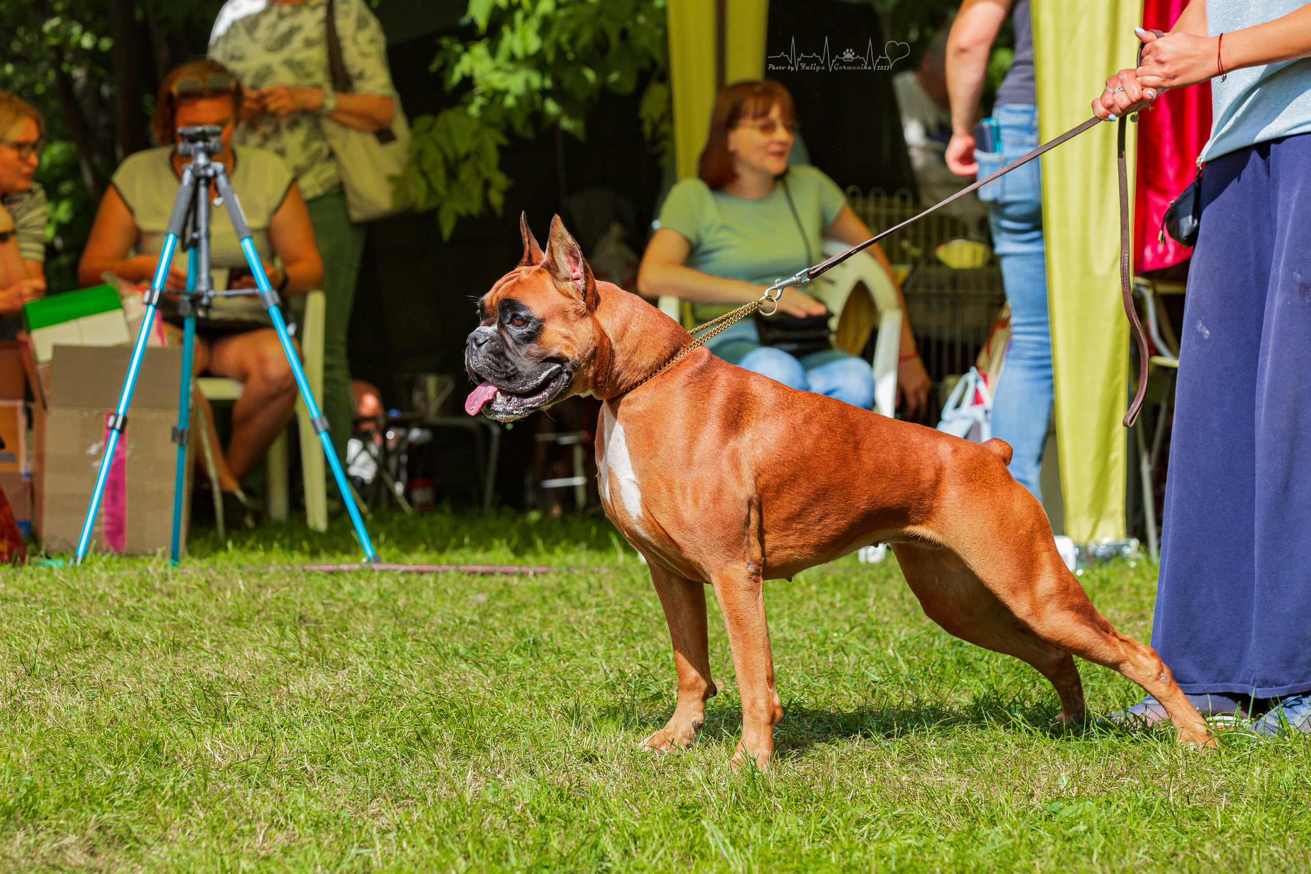 Сокольники 21.08,Сергиев Посад 27-28.08 2022. Фотограф-анималист Юлия Германика