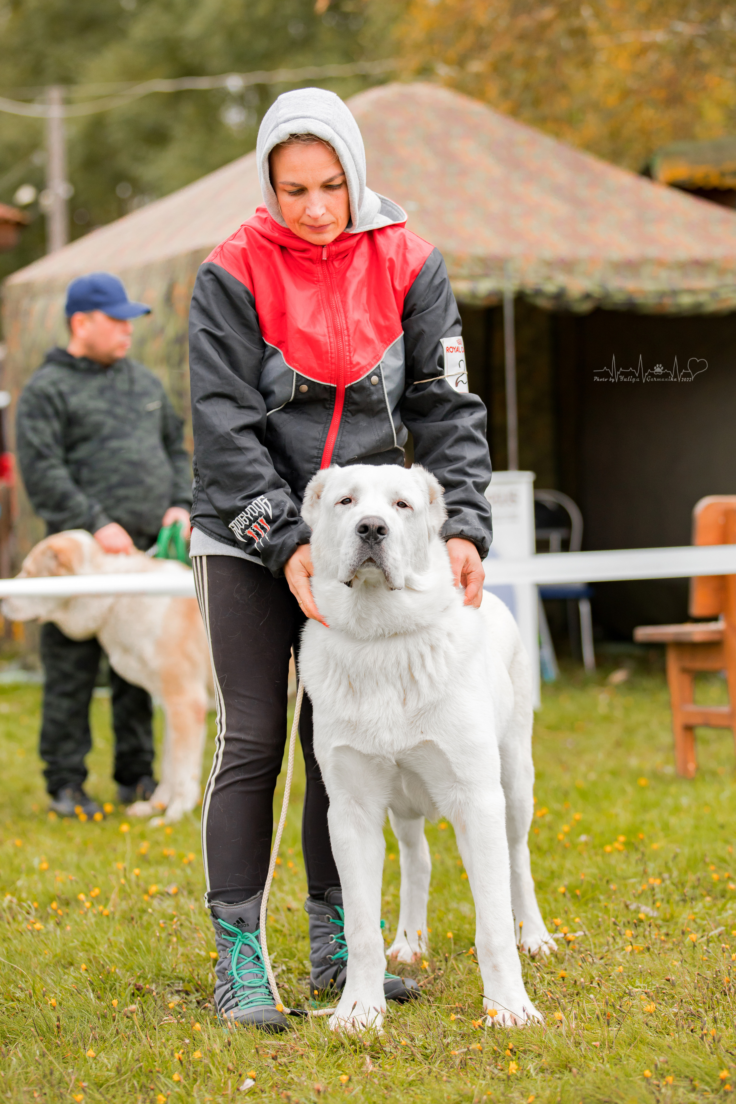 Александрова Слобода моно сао 2.10.2022. Фотограф-анималист Юлия Германика