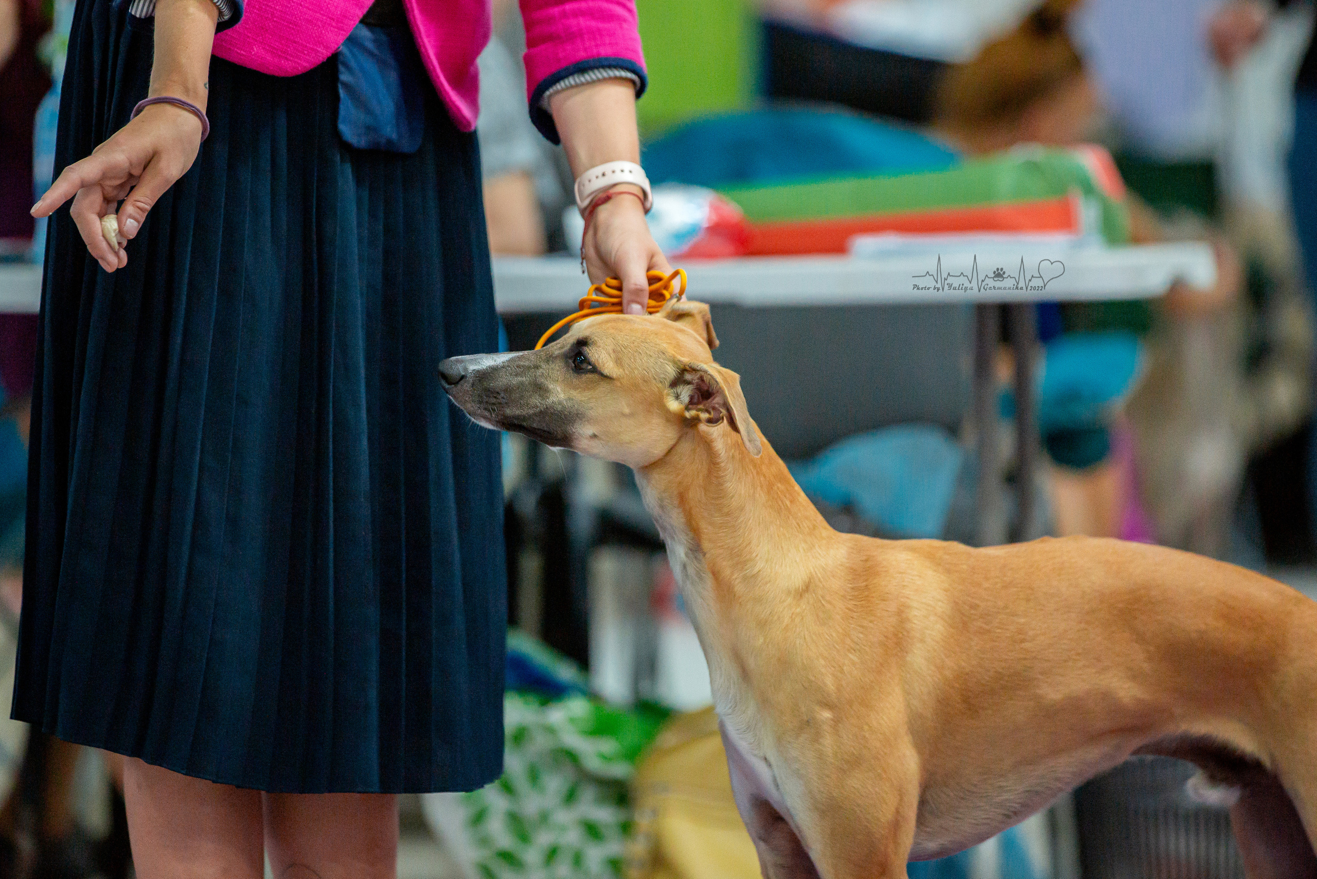 Ховрино 31.07,Чайна-Таун 6.08,Тверь 7.08. Фотограф-анималист Юлия Германика
