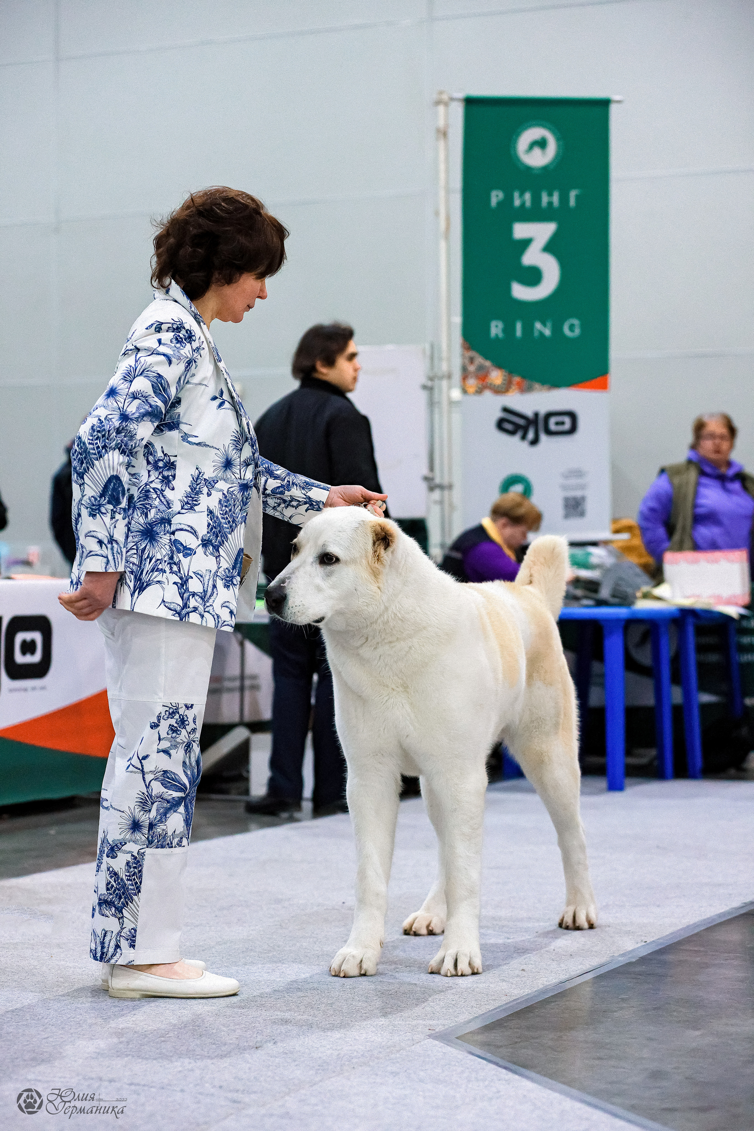 Россия 2020-2022 26-27.11.2022. Фотограф-анималист Юлия Германика