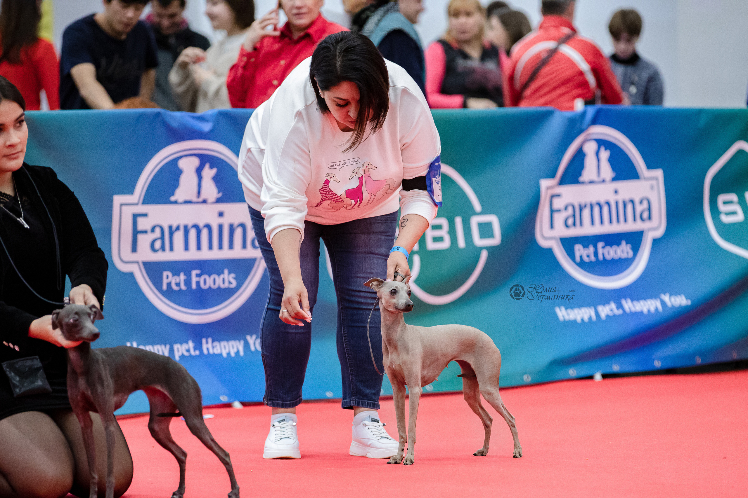 Нижний Новгород 15-16.10.2022. Фотограф-анималист Юлия Германика