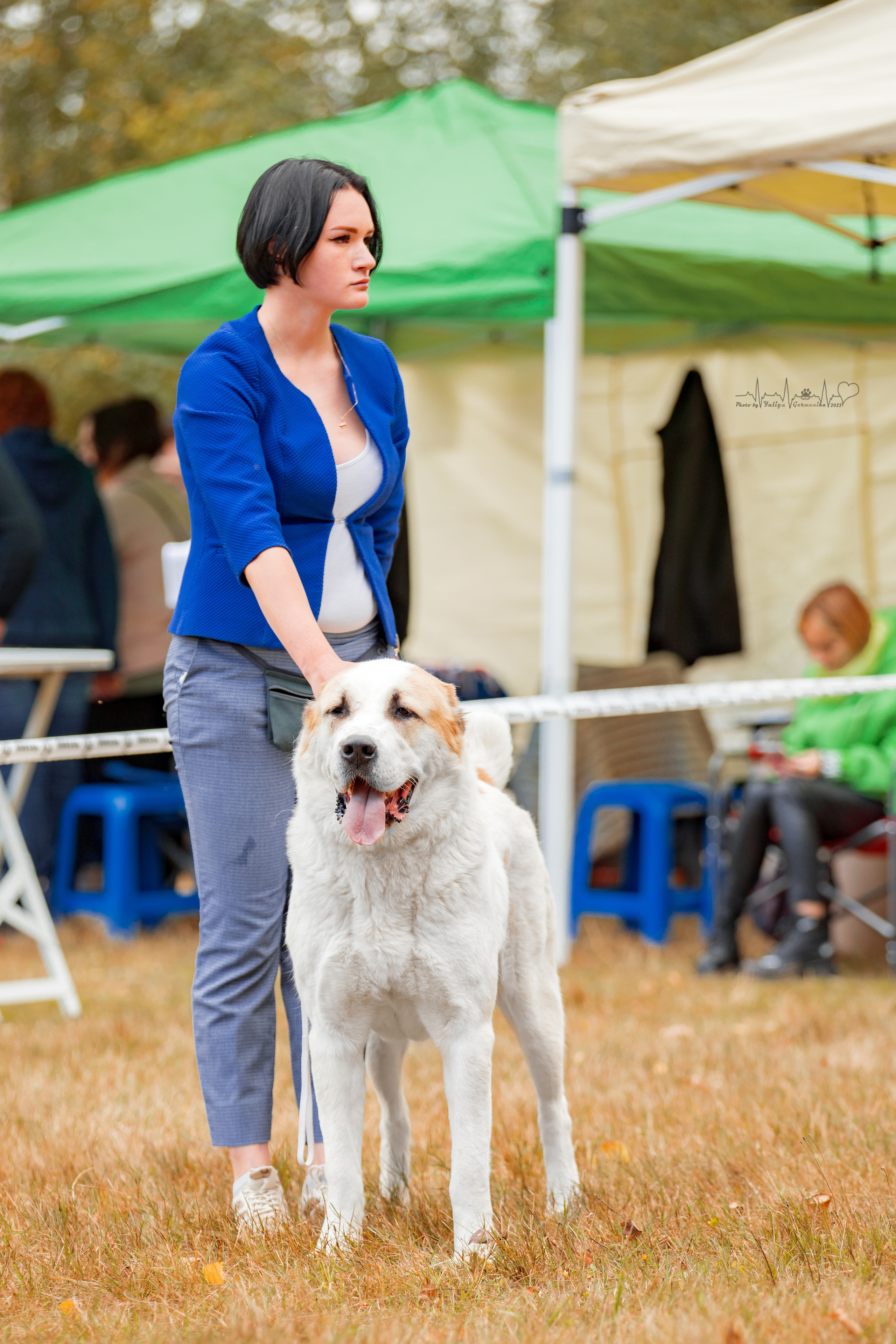 Пушкино ЧРКФ 17.09.2022. Фотограф-анималист Юлия Германика