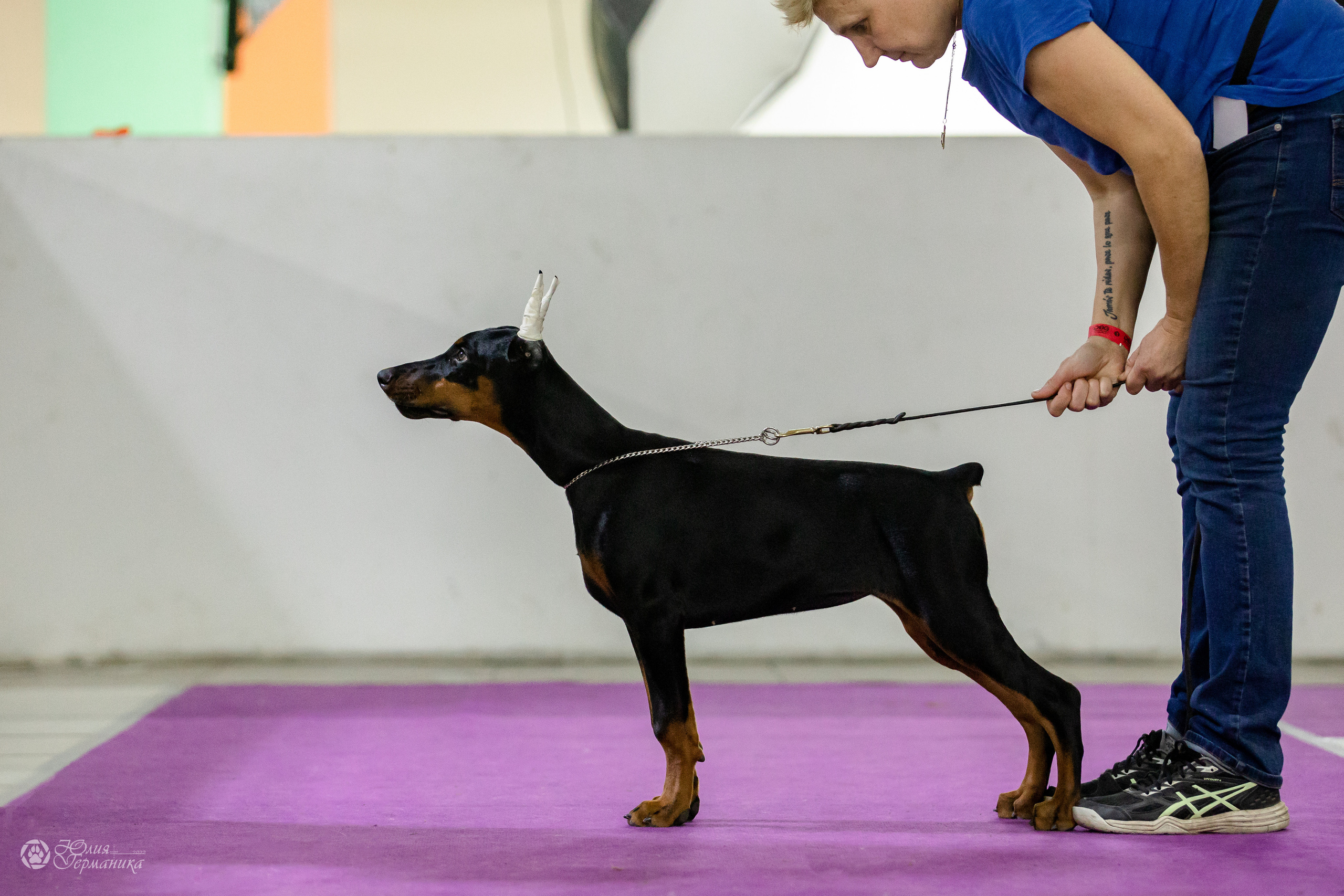 Чайна-Таун 29-30.10.2022. Фотограф-анималист Юлия Германика