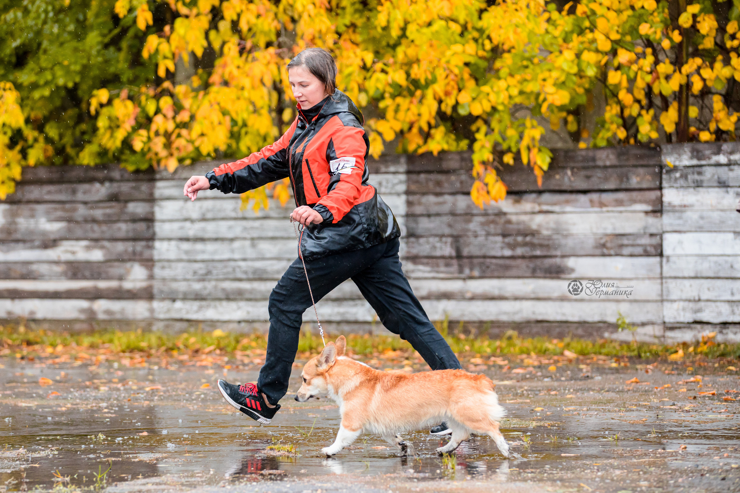 Александров 24.09.2022. Фотограф-анималист Юлия Германика